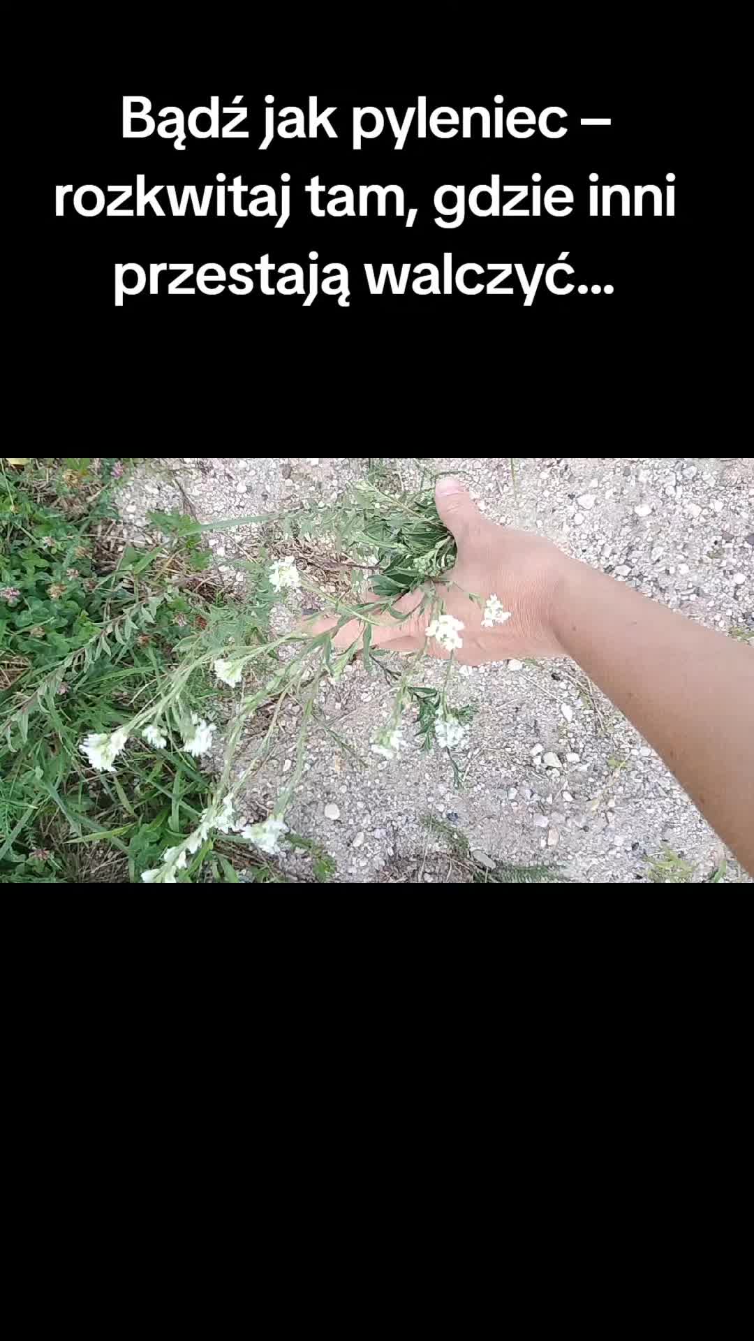 @Zielsko Szeptuchy