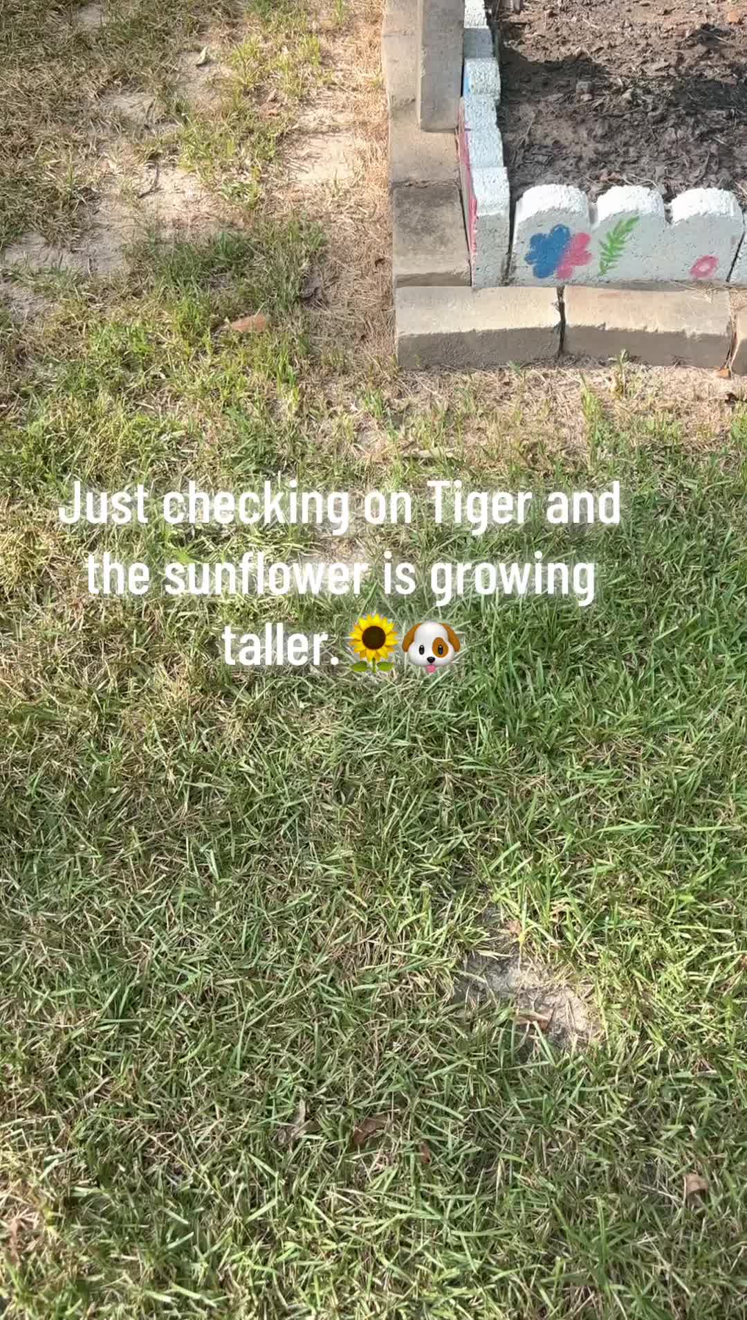 @Tori