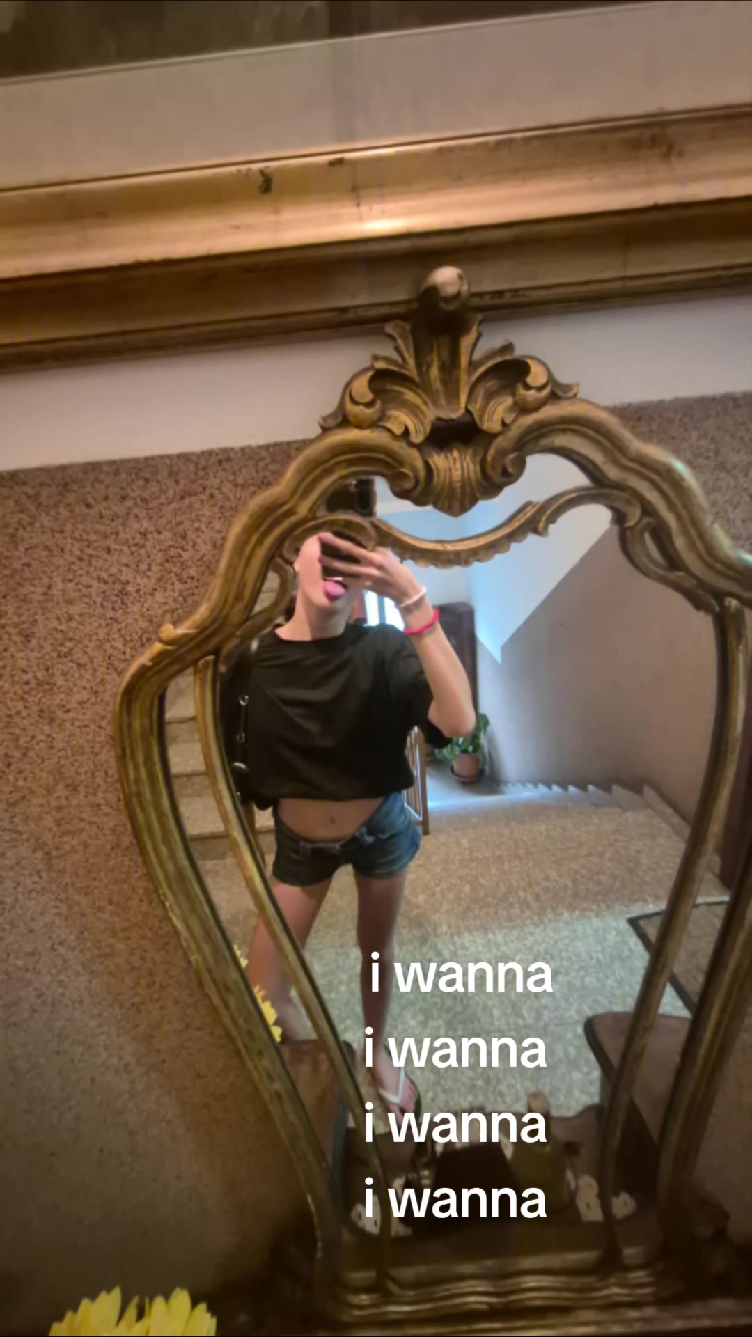 @𝓥𝓲𝓸𝓵𝓪 🌹🌸