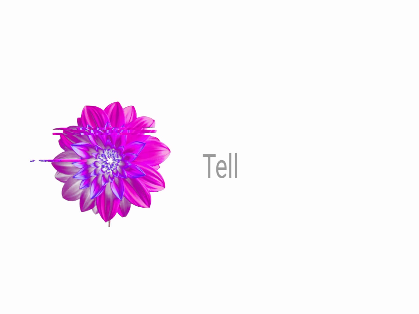@︎ ︎ ︎ ︎ ︎︎︎︎︎︎︎︎︎︎︎Jed ︎ ︎ ︎ ︎
