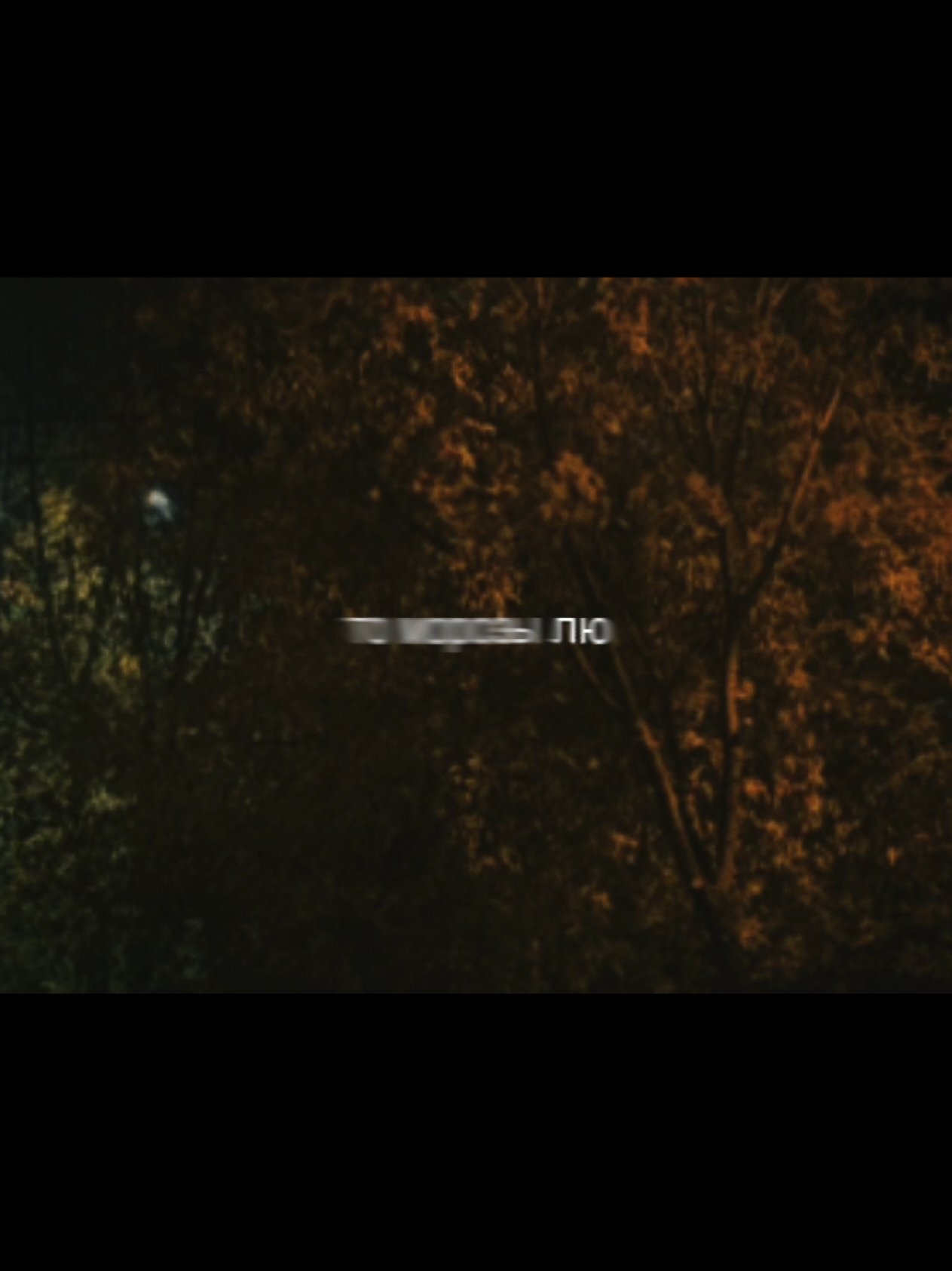 @musicfuz