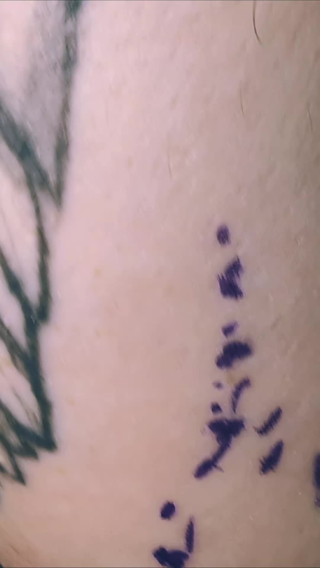 @JustYourAverageCollector