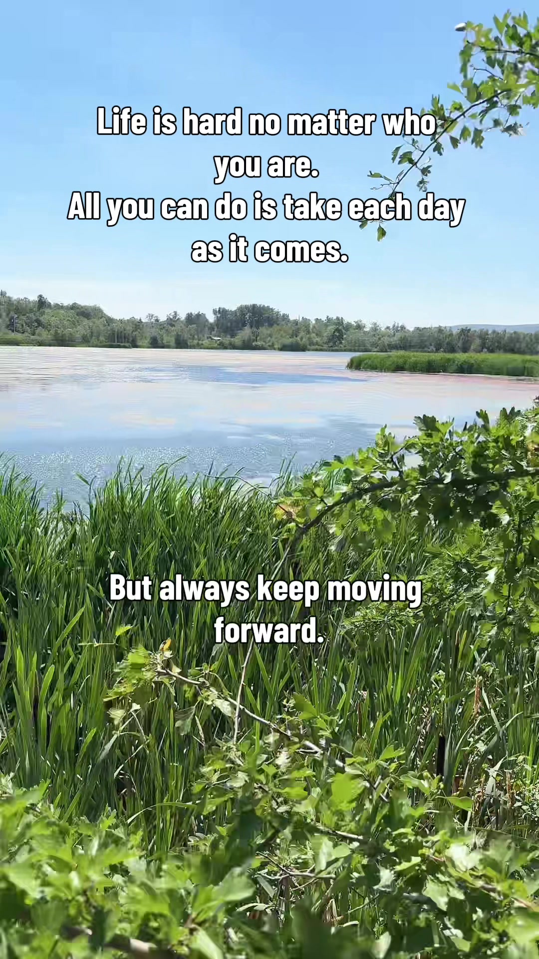 @Scotianmotion