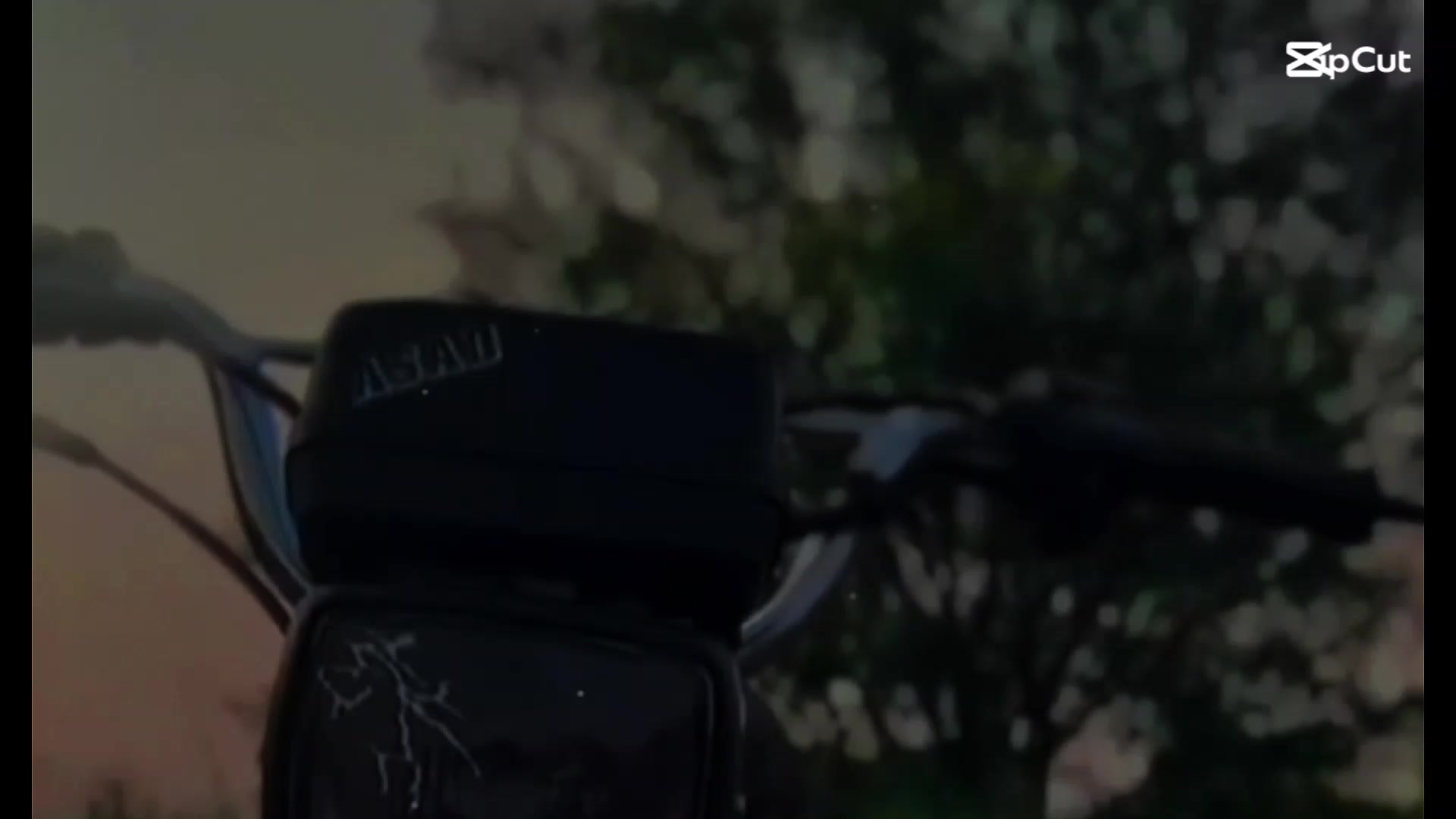 @Sᴋ᭄ASAD࿐ 🐊