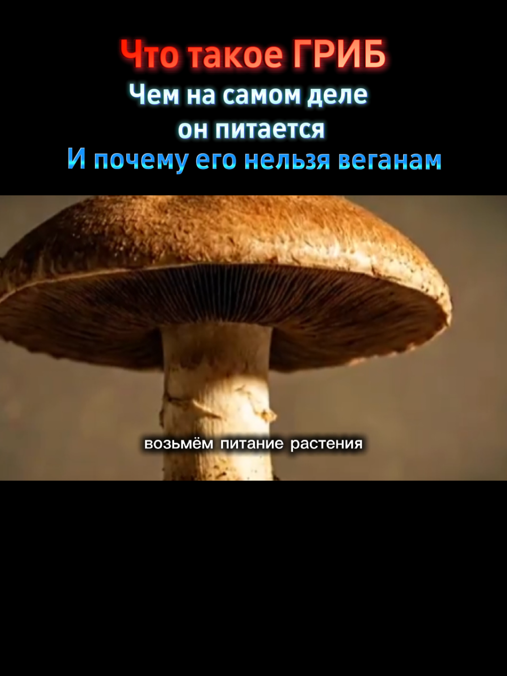 @NewKnow