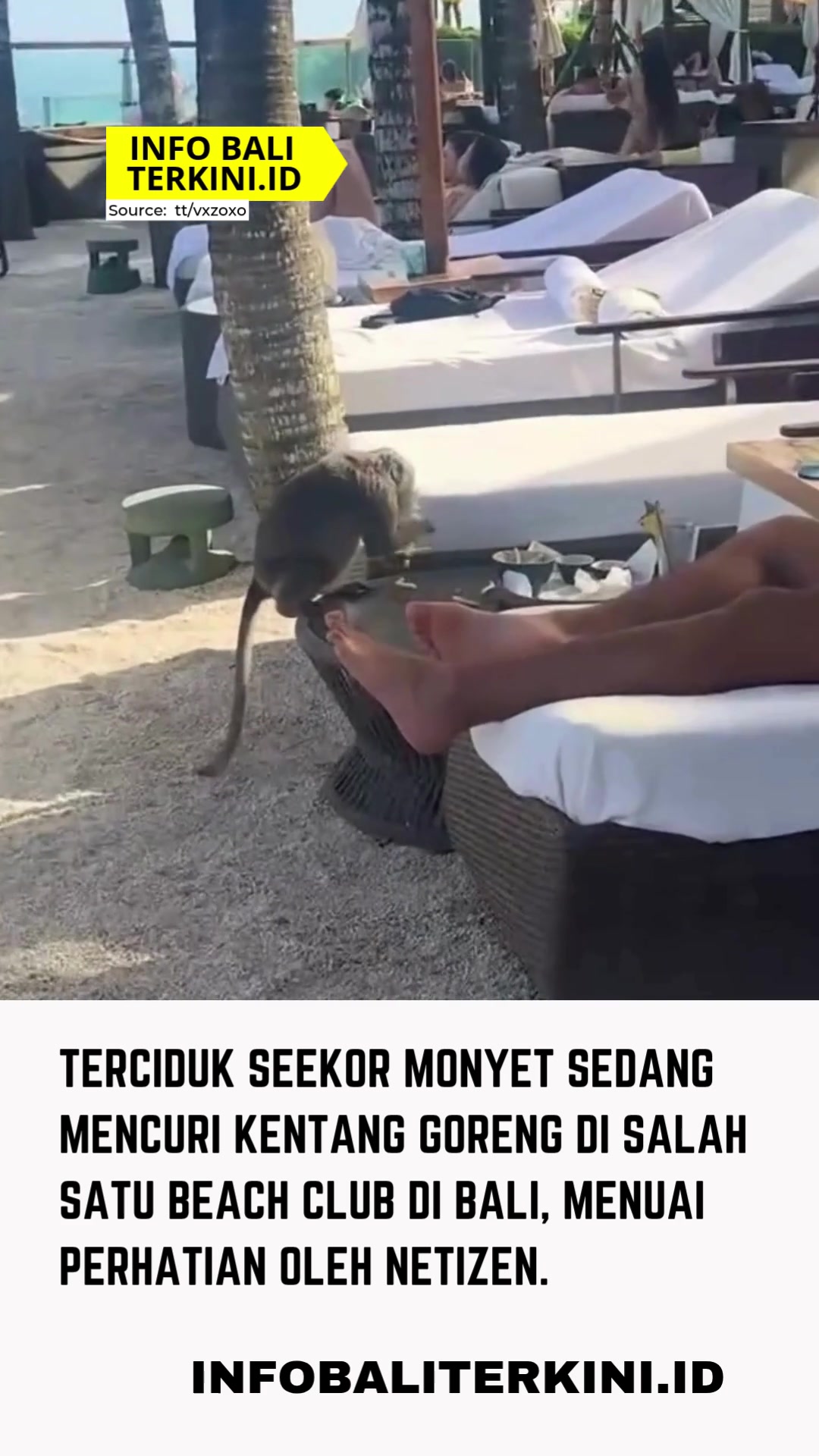 @Berita Bali Terkini
