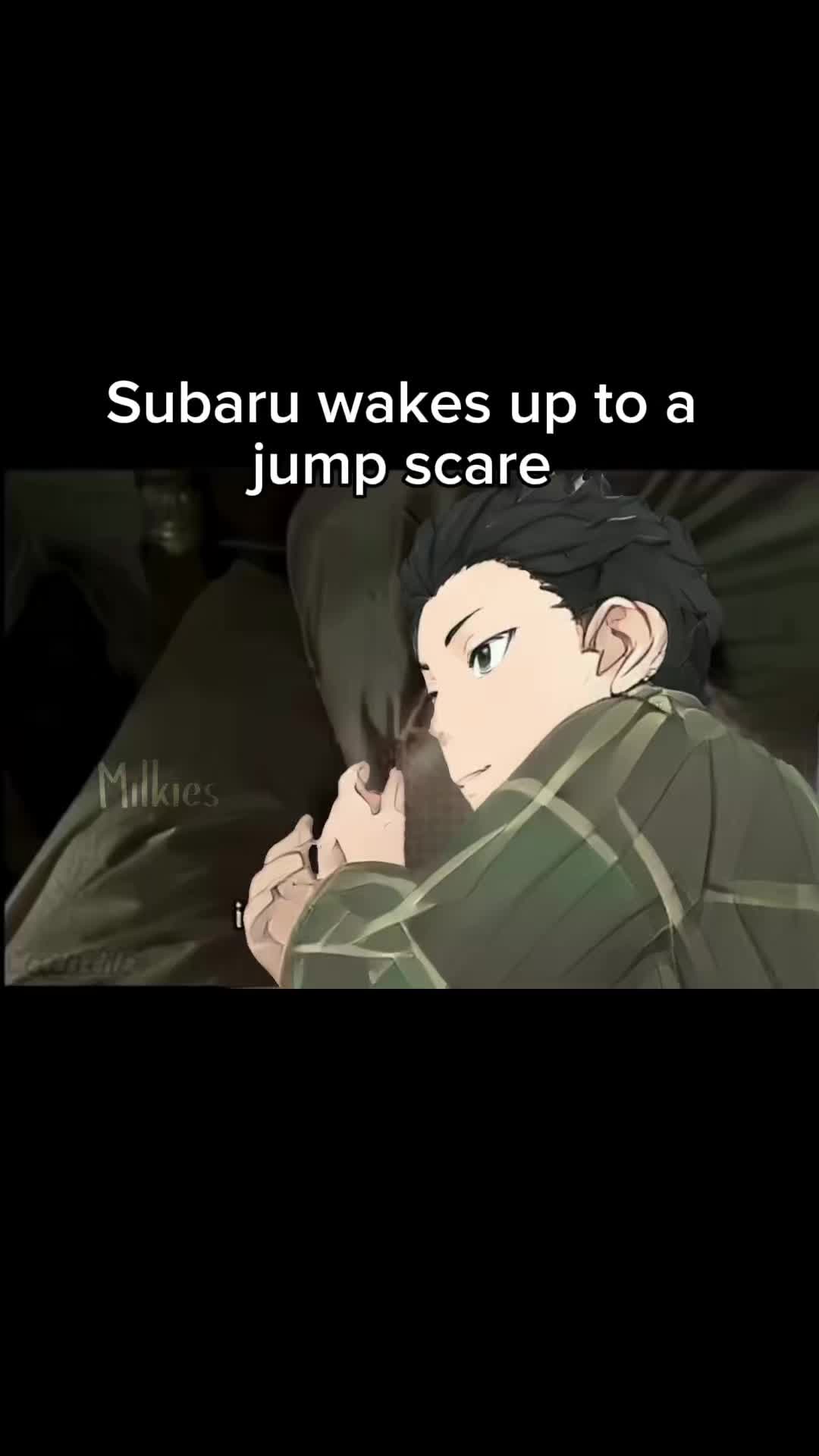 @Milkies/Echidna
