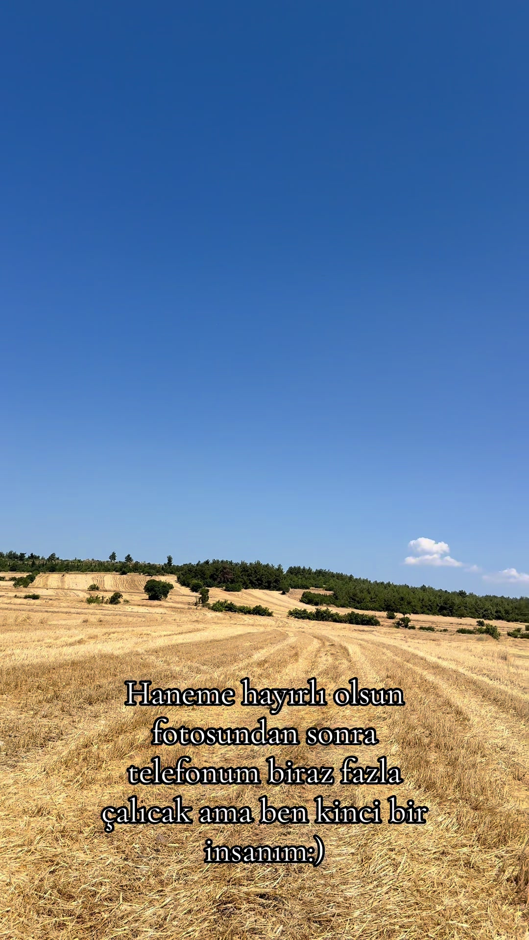 @Seyit Eymen Avşar