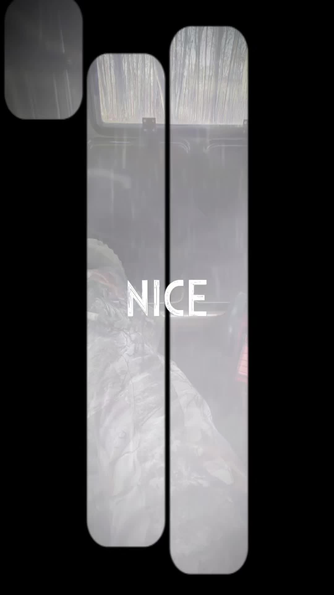 @Michelleallen1011