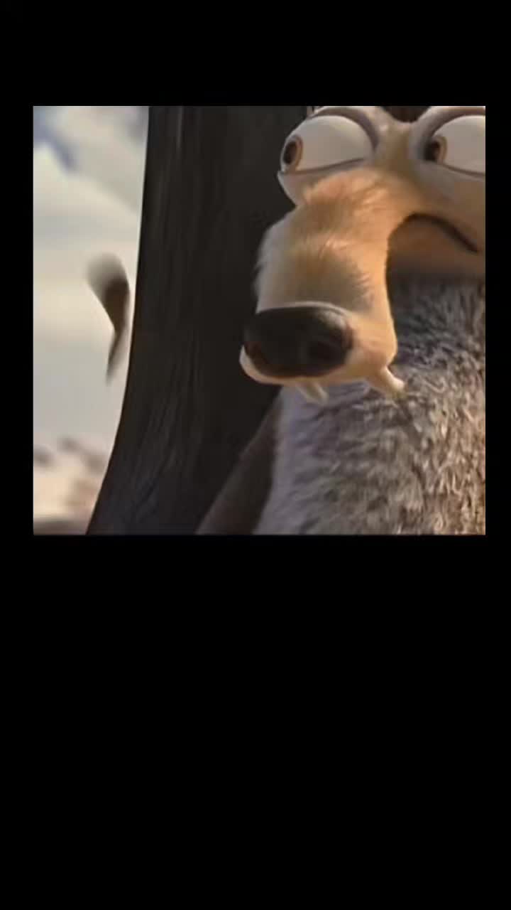 @zahnzaubermaeuschen