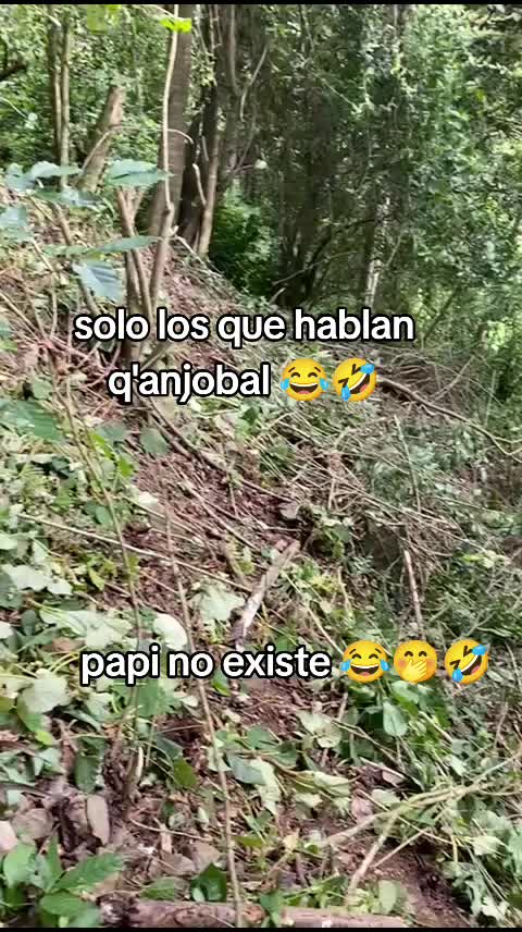 @el🐼CHACALITO 🐼🎹👑🫰🇬🇹🇺🇸