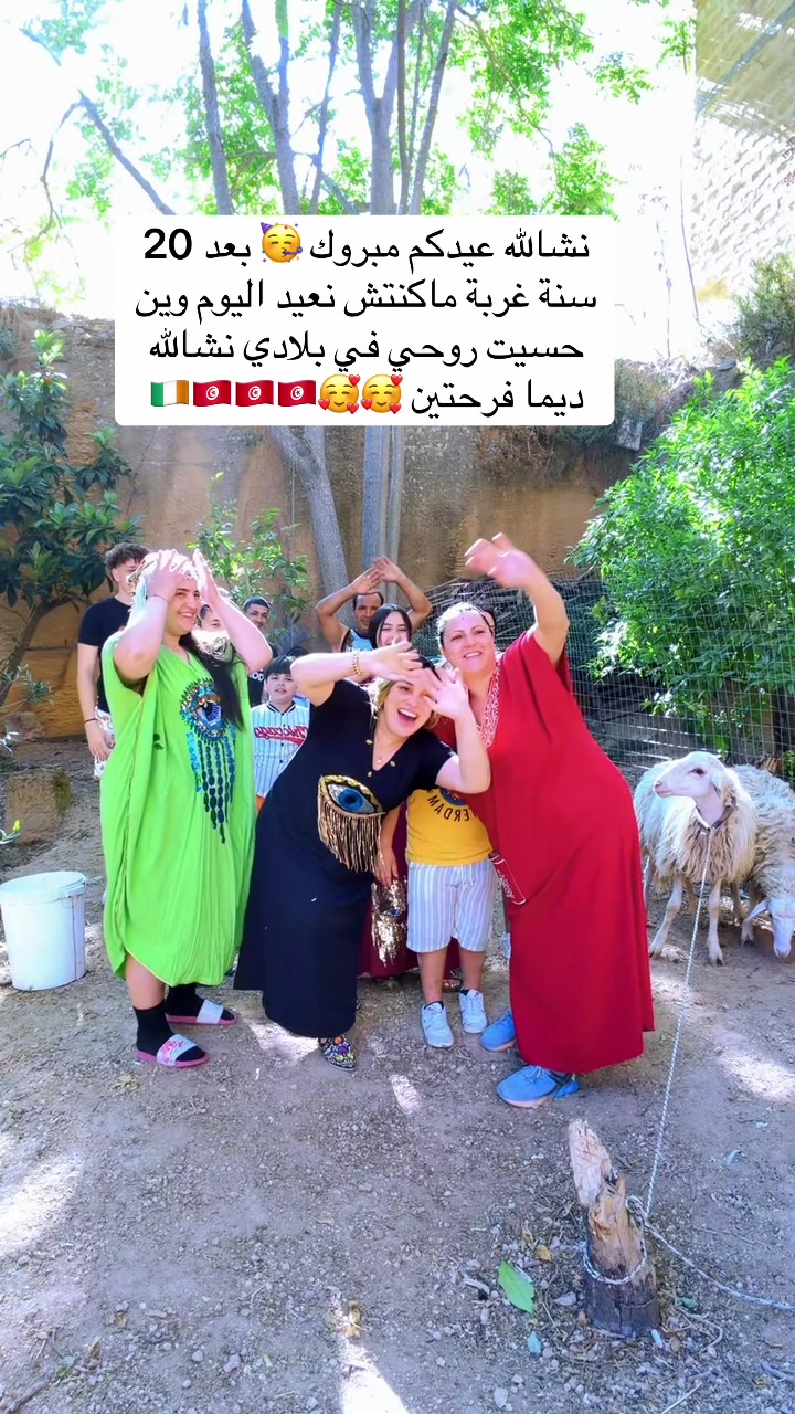 @FATMA JEMAI