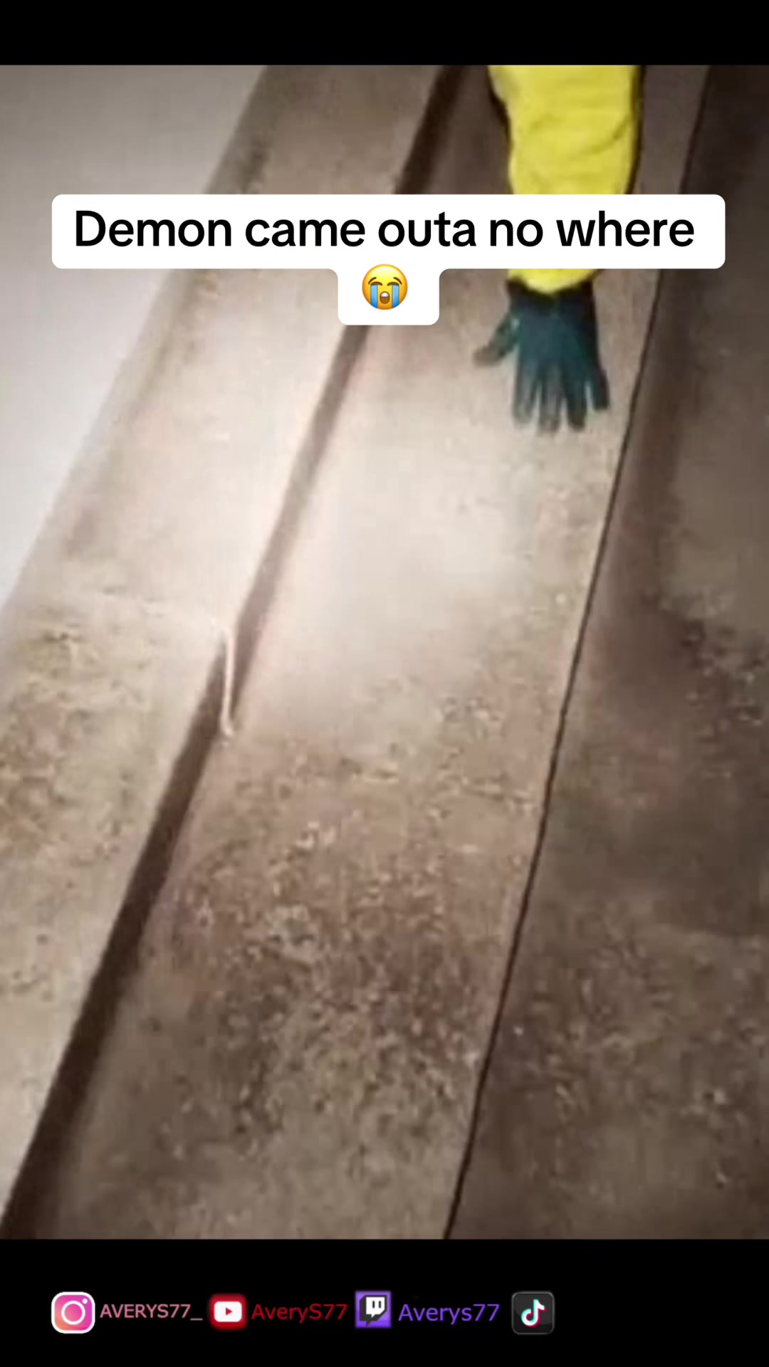 @Averys77