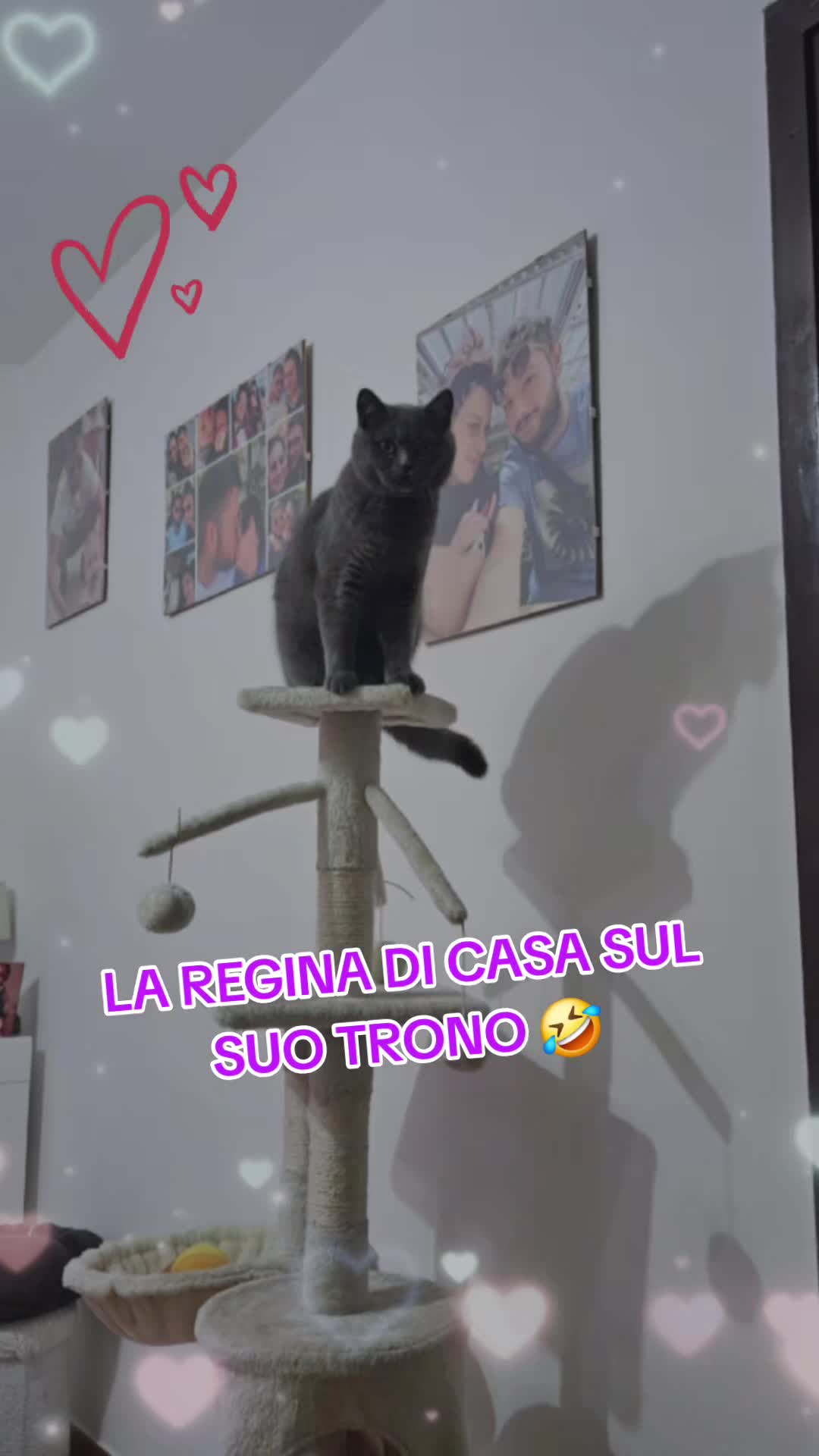 @🐺PANTERA80🐺