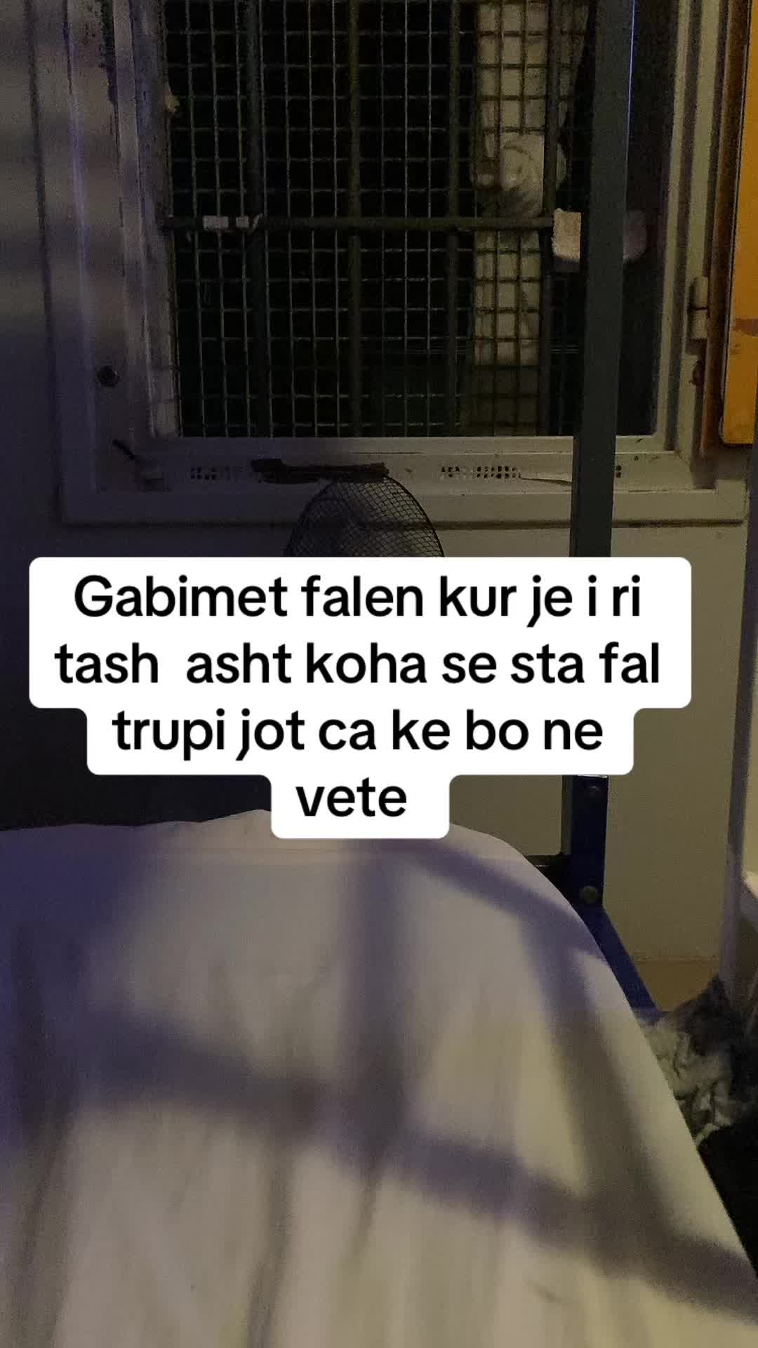 @👑🔥BEKAKTU🔥👑