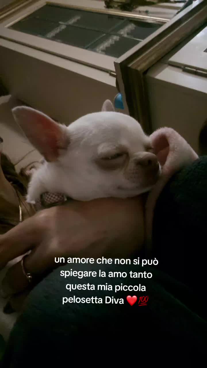 @anna giacobbe 2