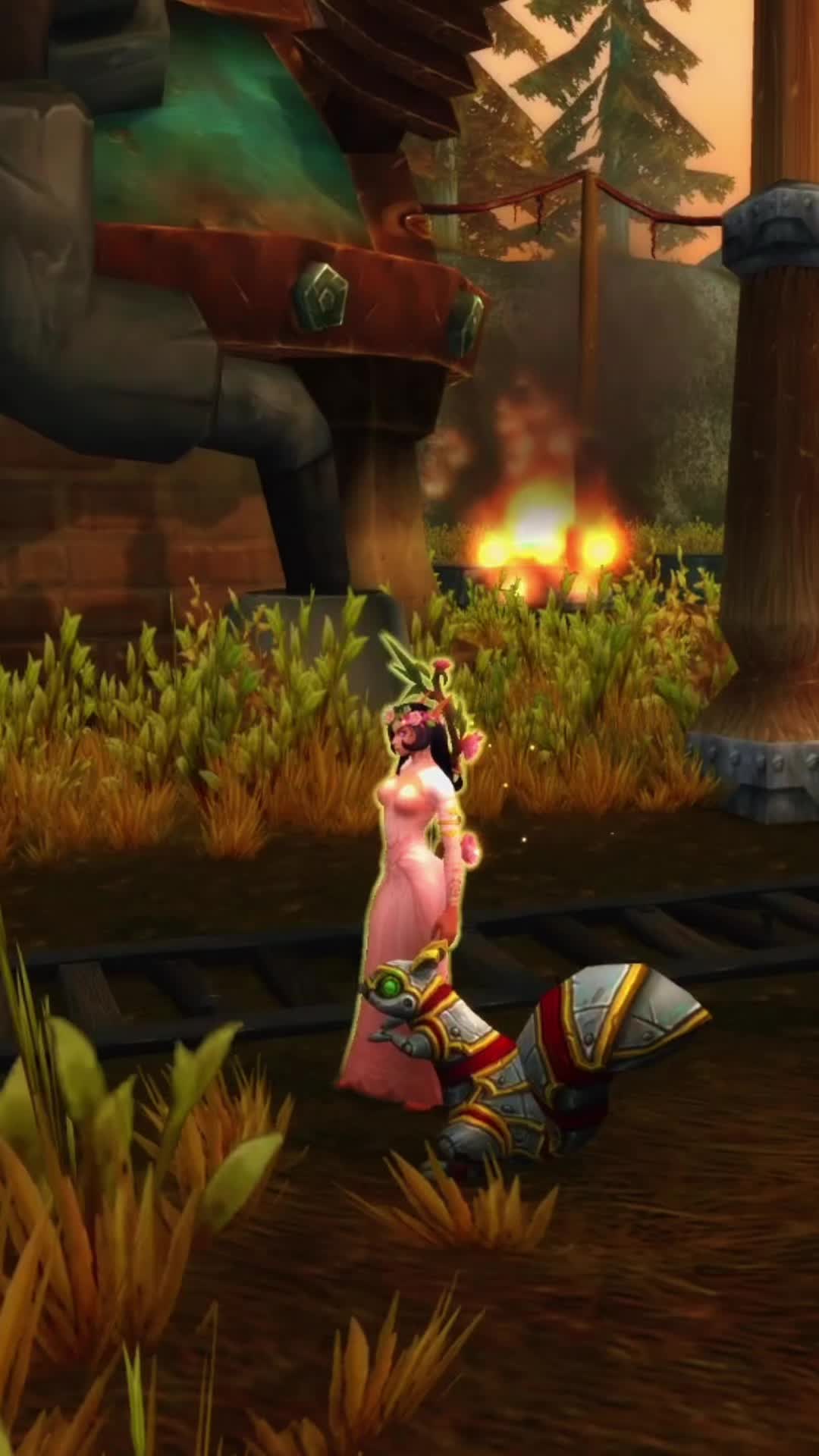 @TabbyKatGaming | WoW Guides