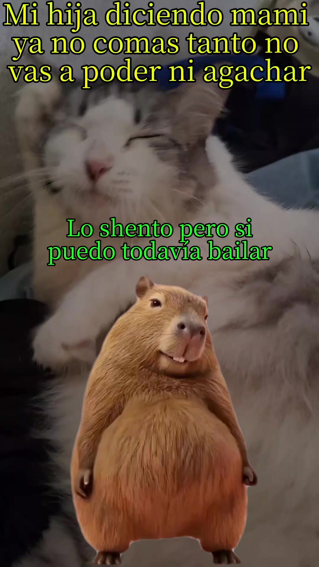 @Nel