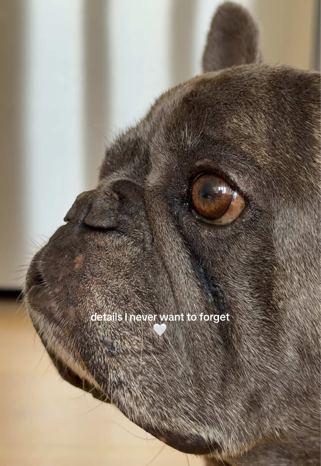 @Winston & Charlie 🐾