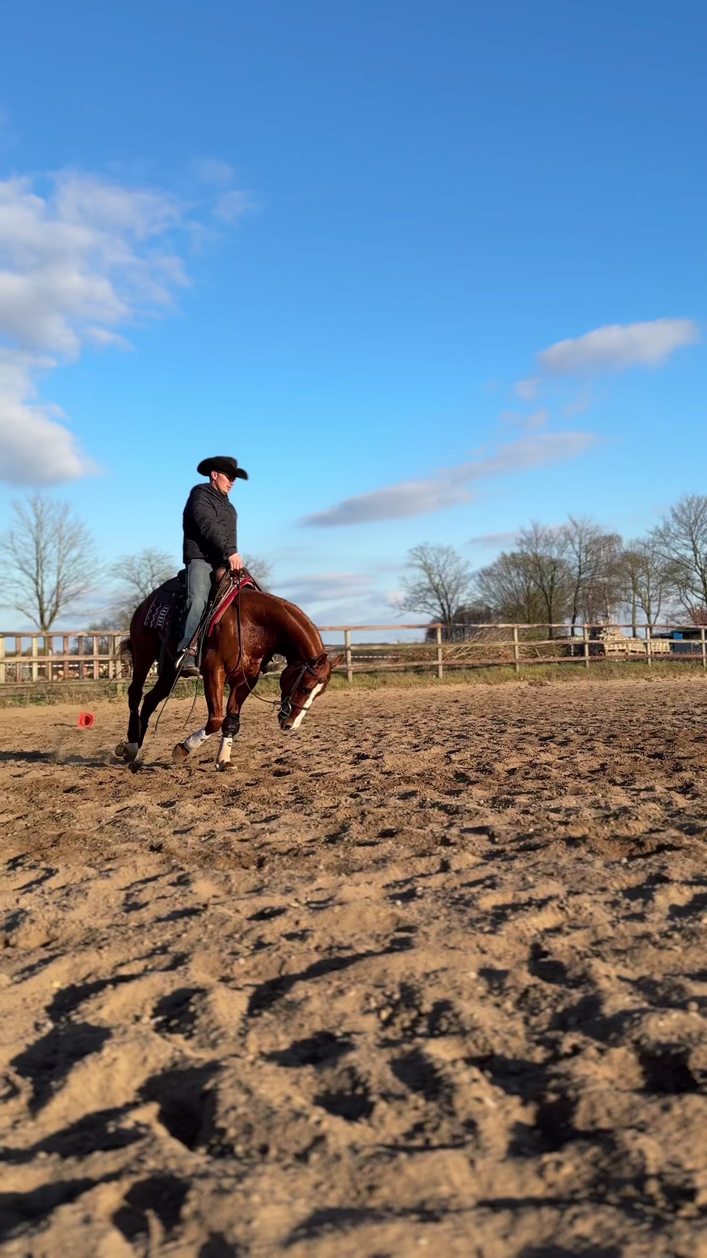 @Nebel Performance Horses