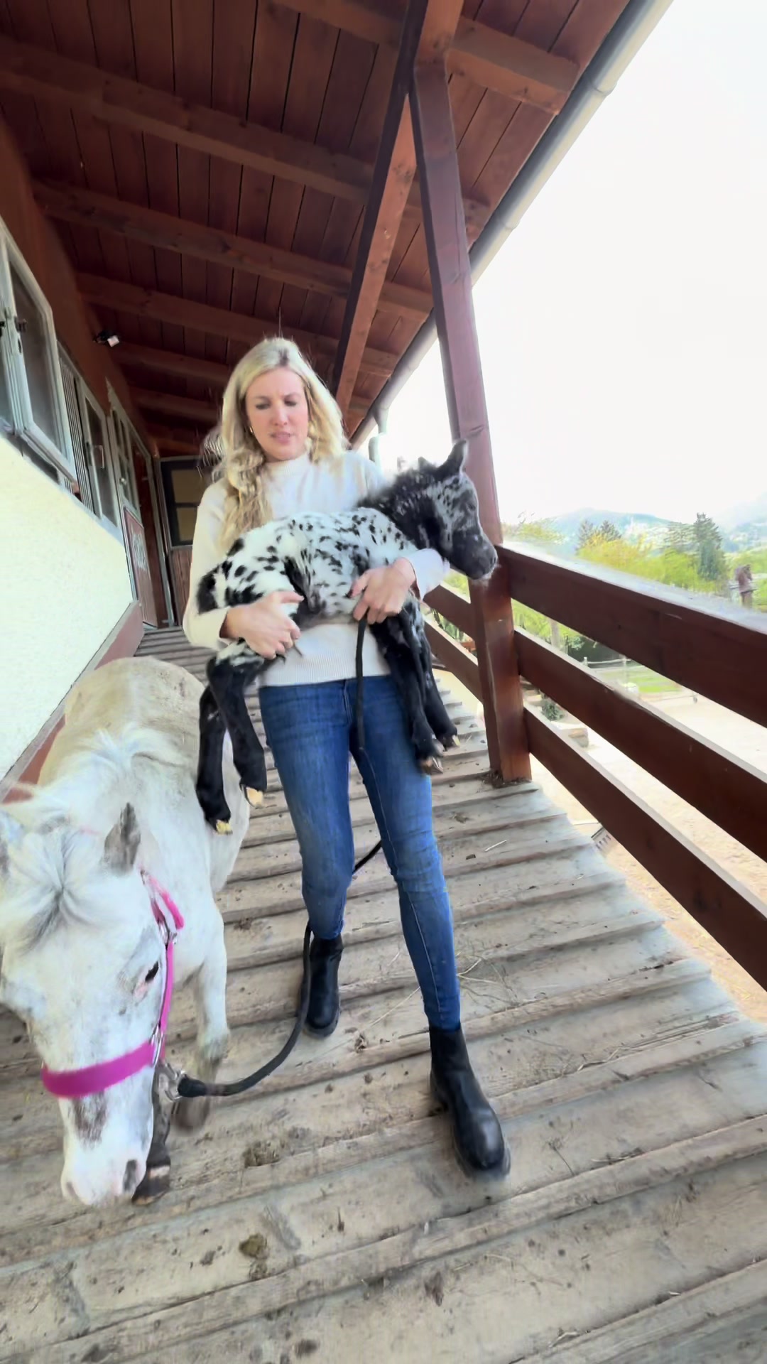 @julia_libertyhorses