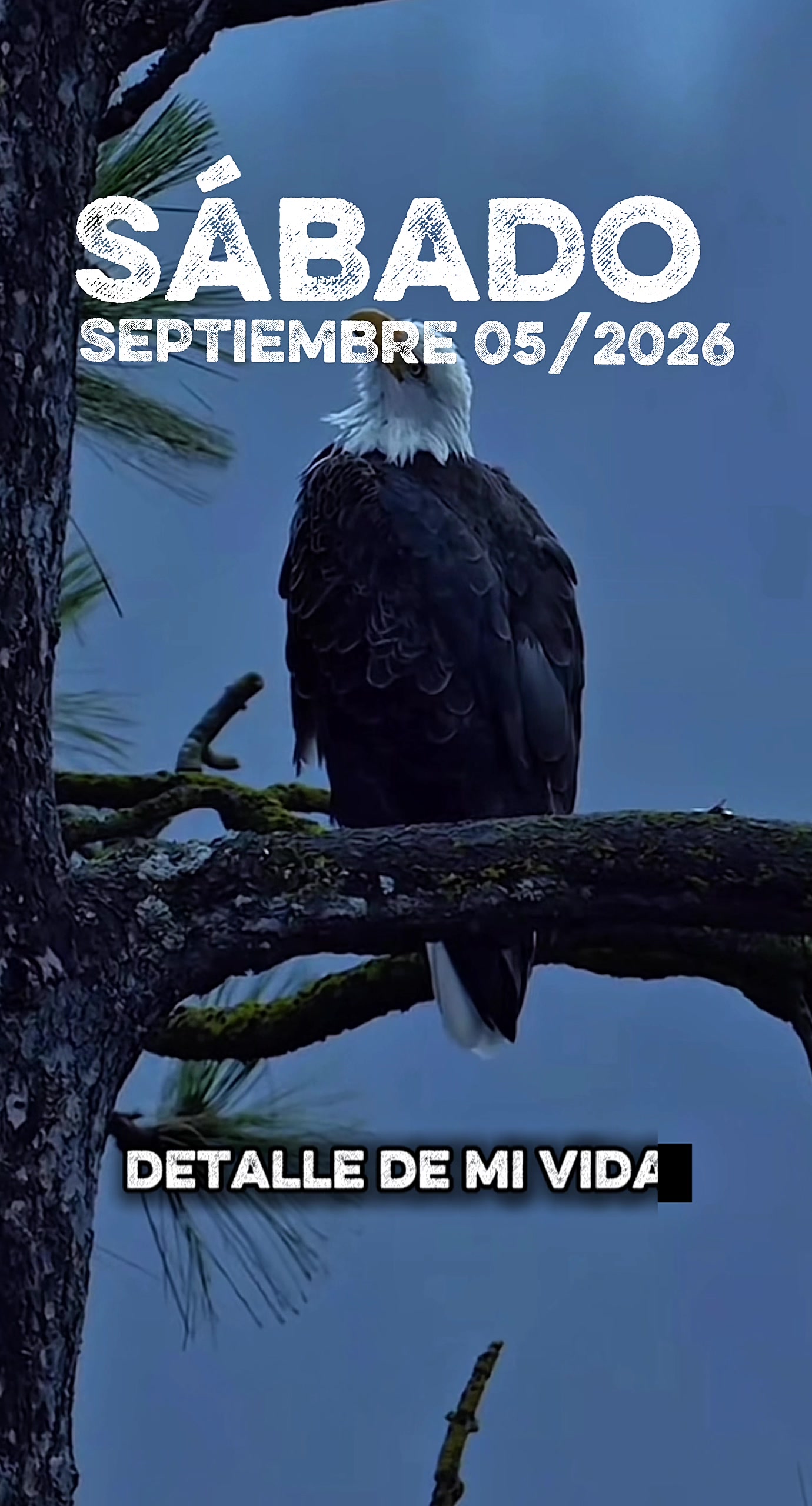 @M&uacute;sica del Cielo