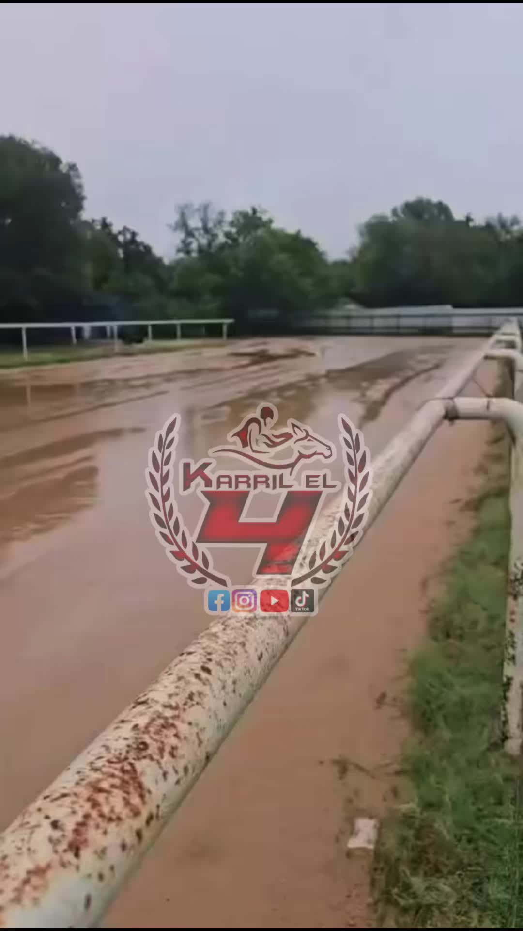 @Karril El 4