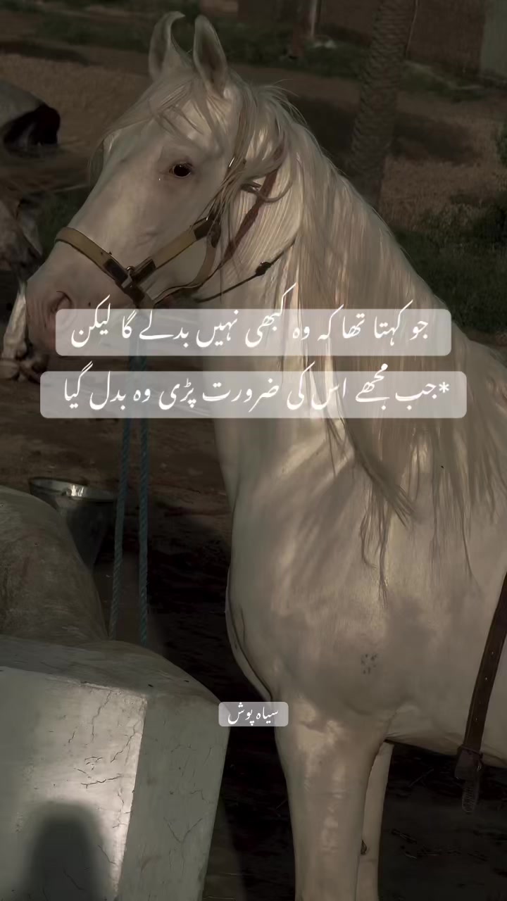 @سیاہ پوش🖤