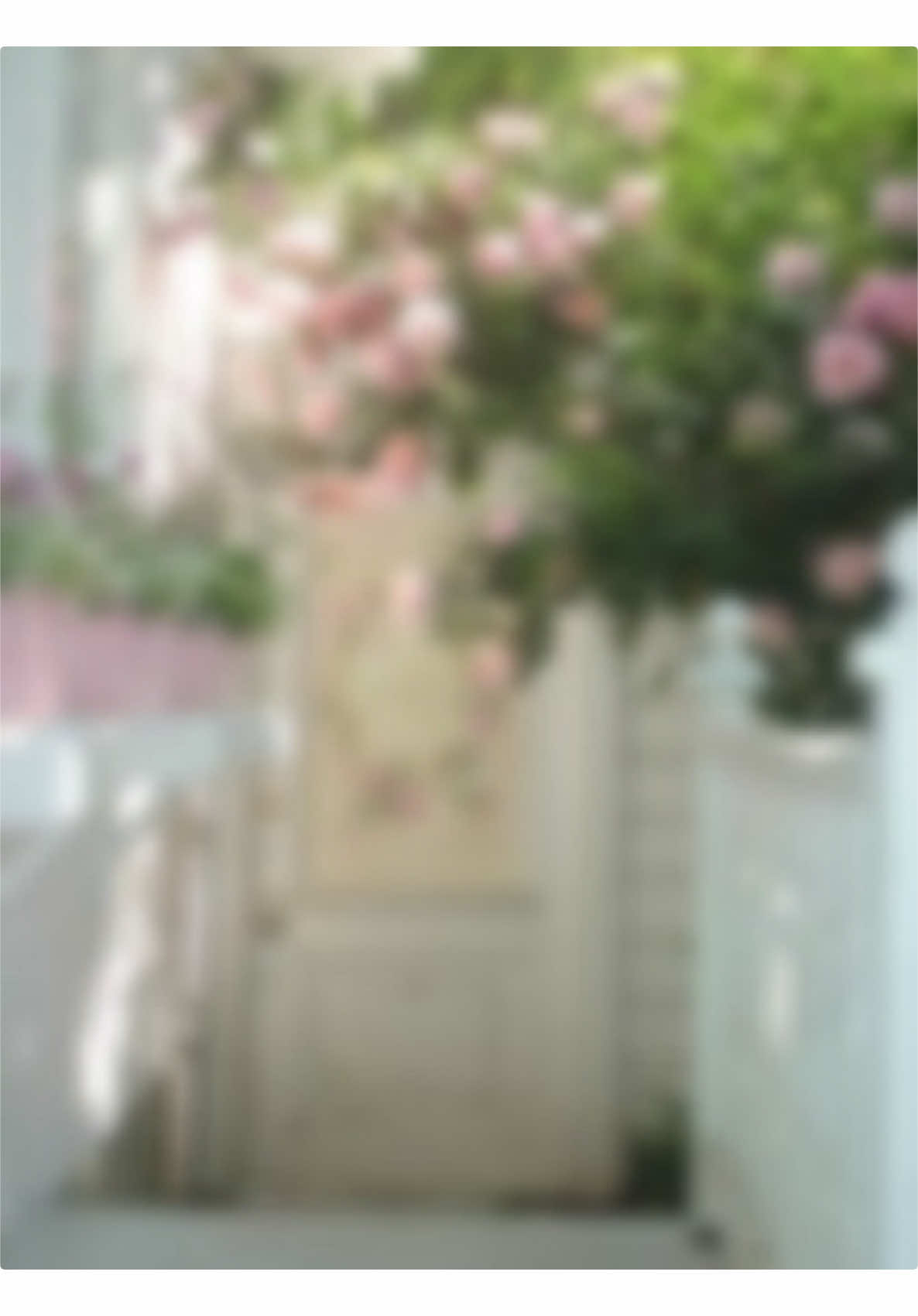 @⃘໋ׅ♡ ׅ𝘆ᩘ𝘂𝗺ֹׂ𝗲͟𝗶 !