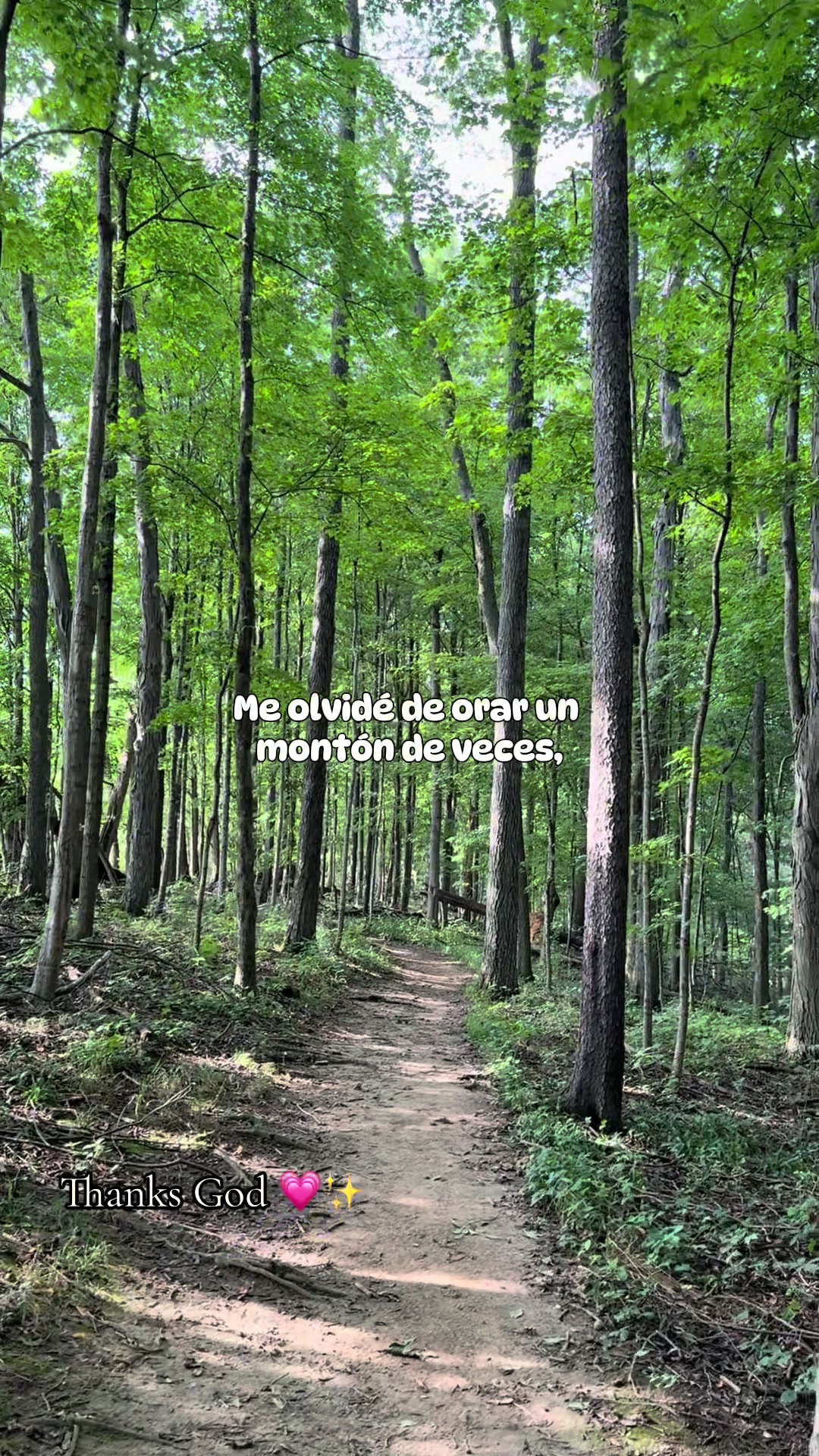 @🤍✨.