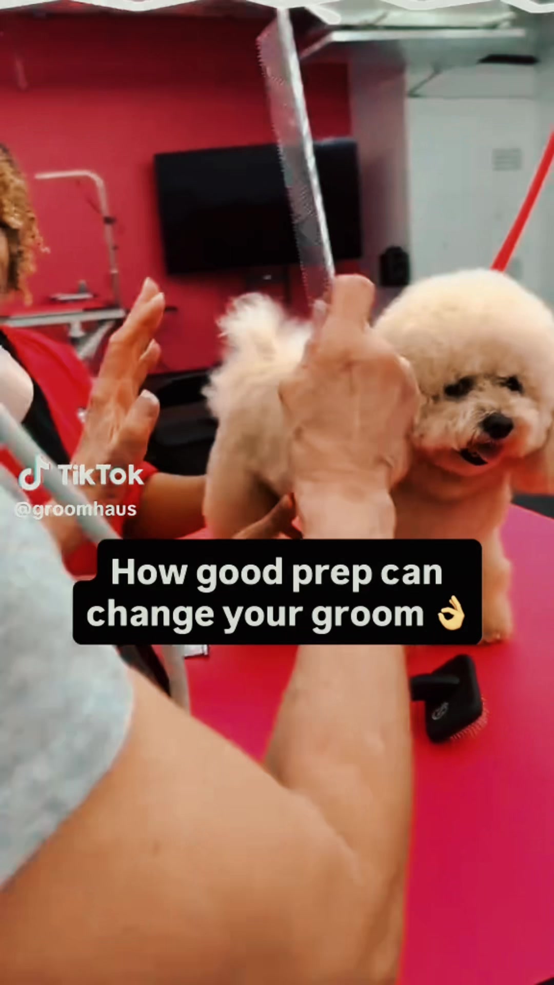 @fusionpetstylez