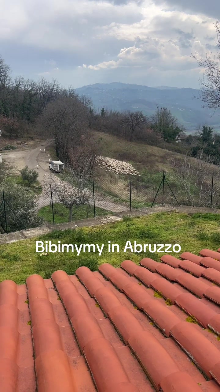 @Bibimymy