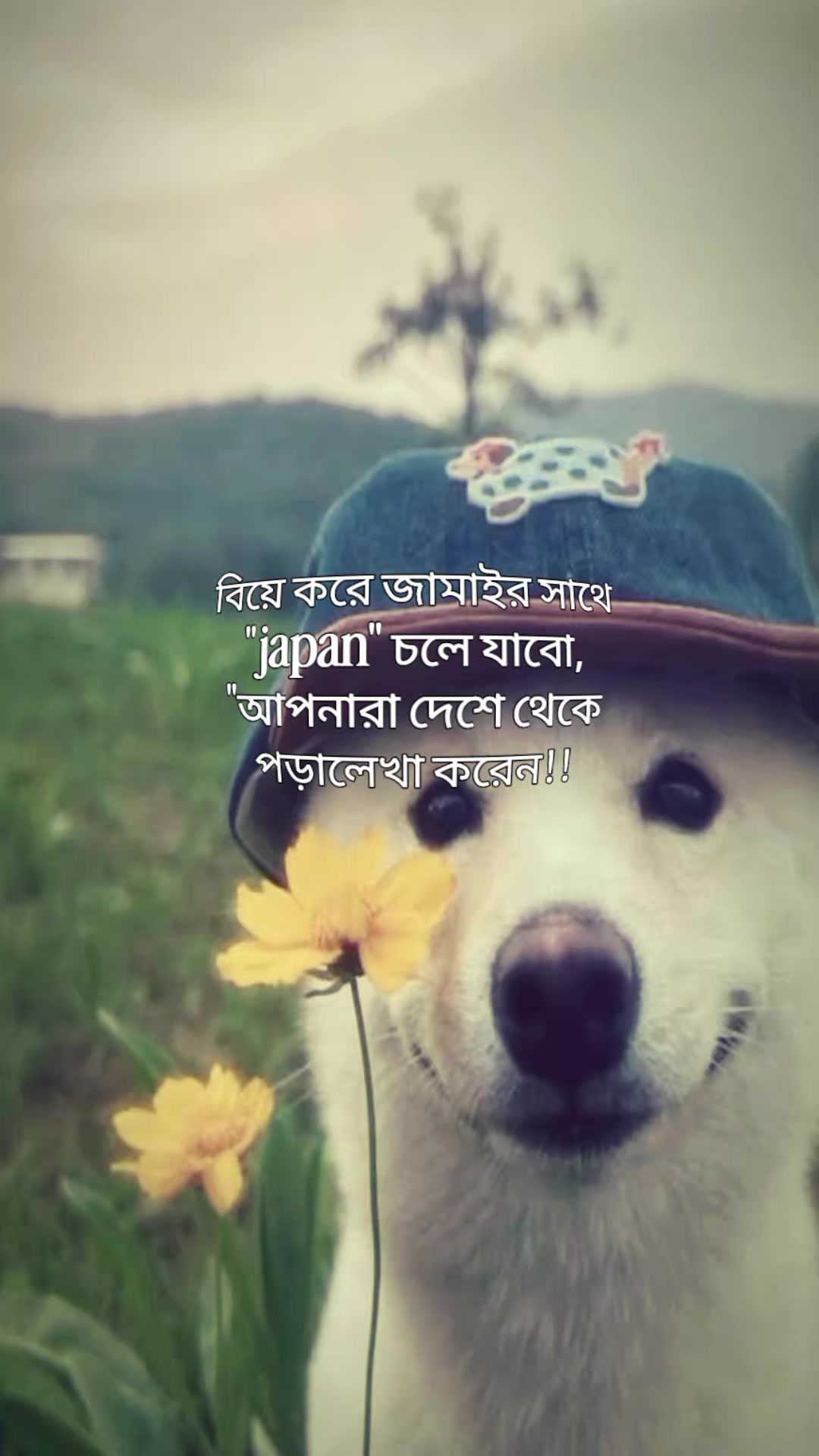 @#