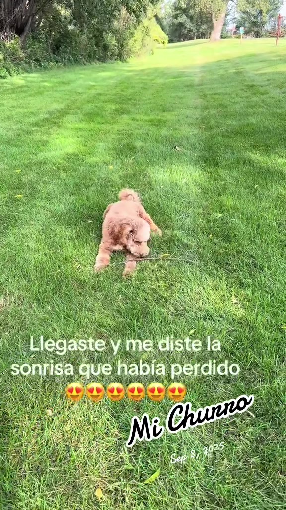 @Reyna y Churro 🐶😍