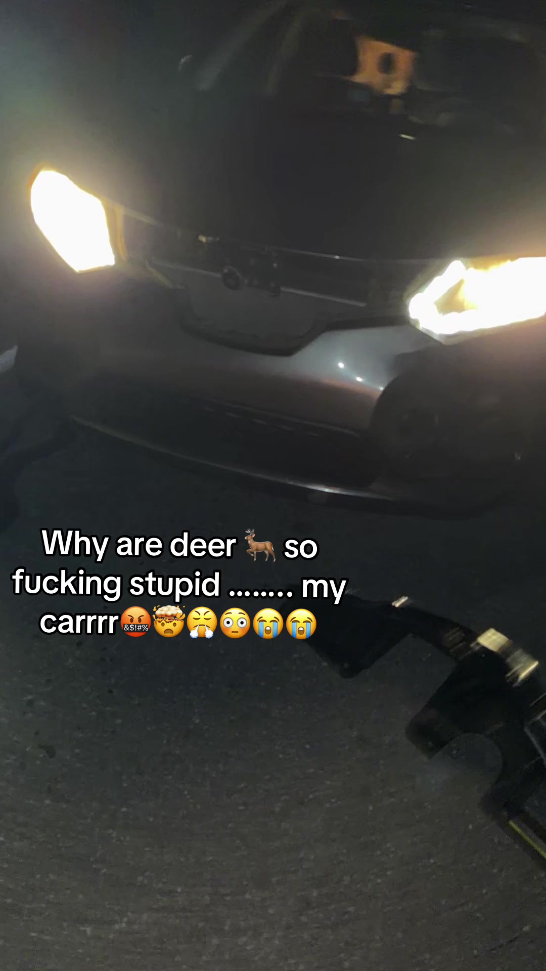 @Taylor Taytay