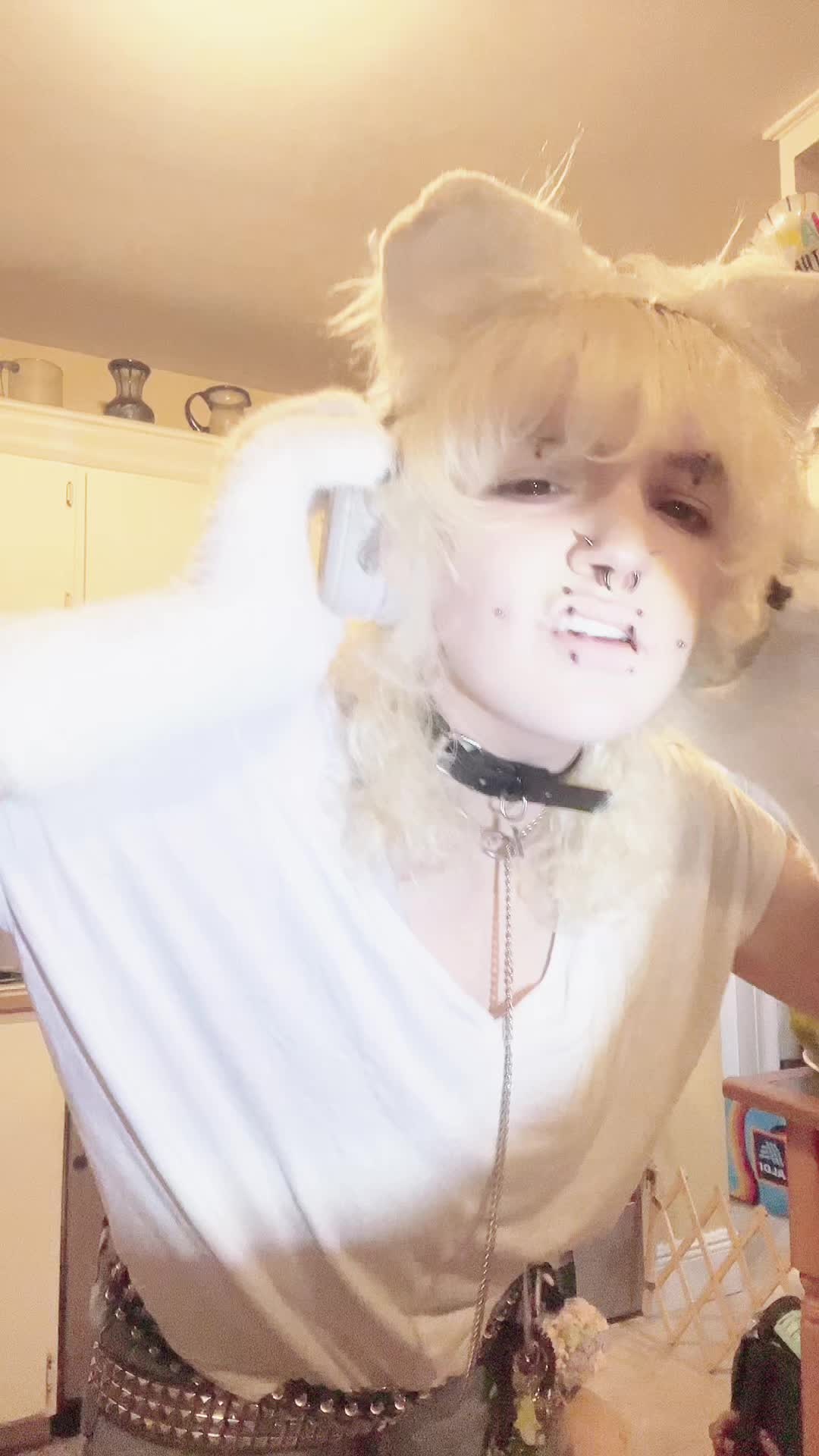 @꧁✶𝙲𝓇o̷᭙✶꧂