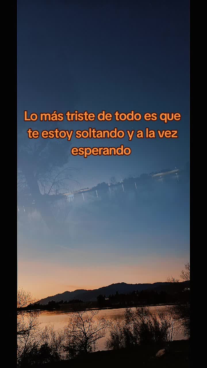 @damarishernandez649