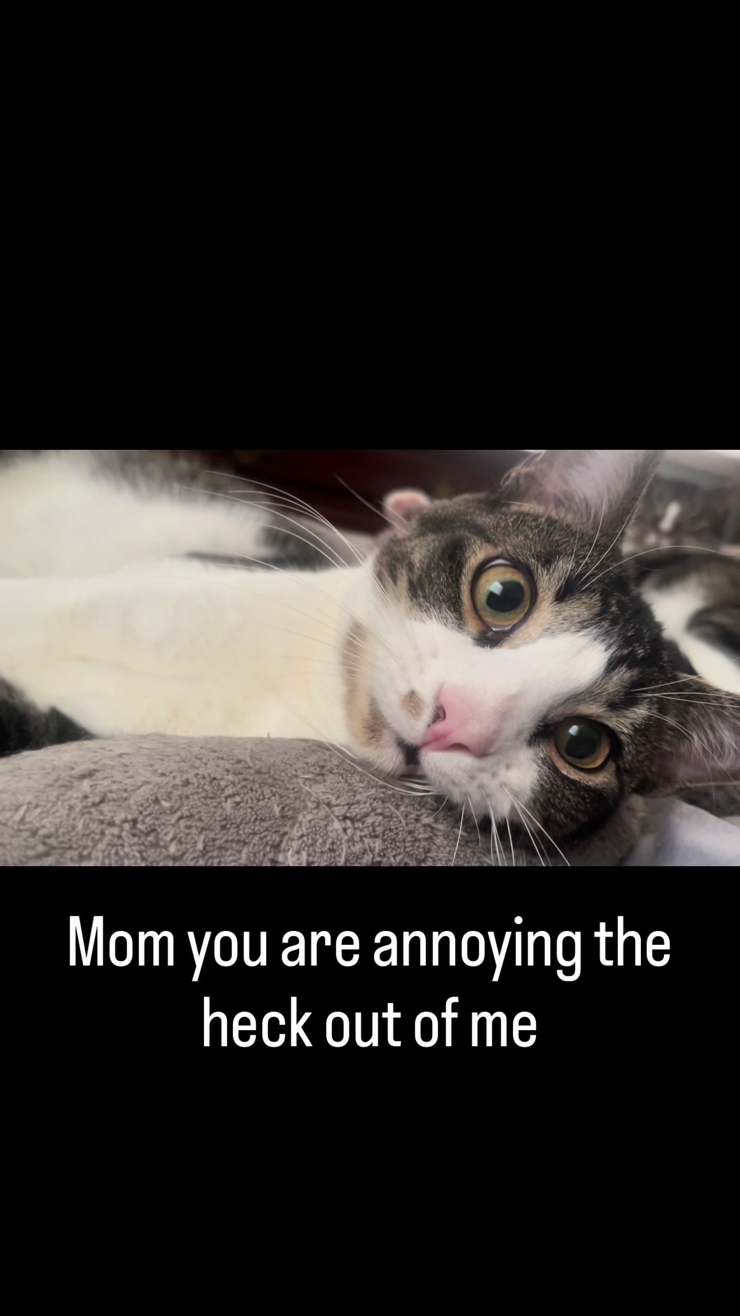 @Susan