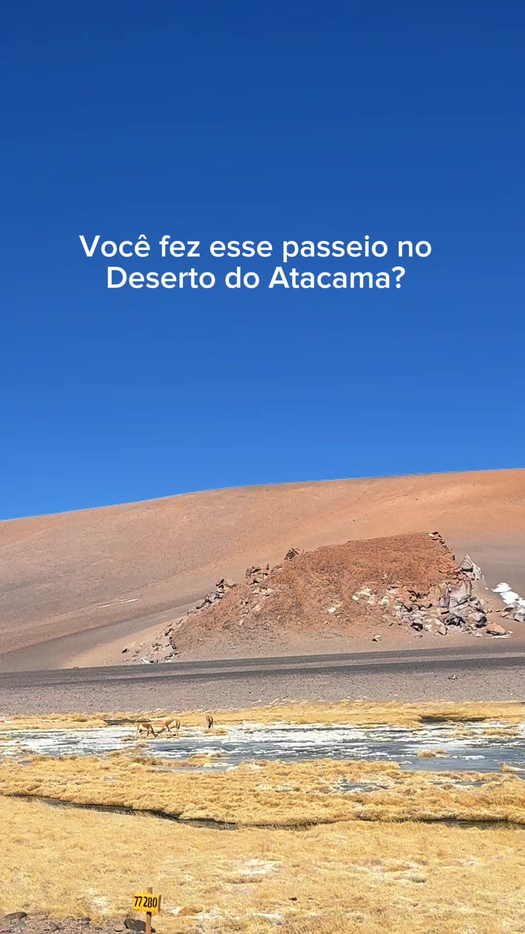 @Joana