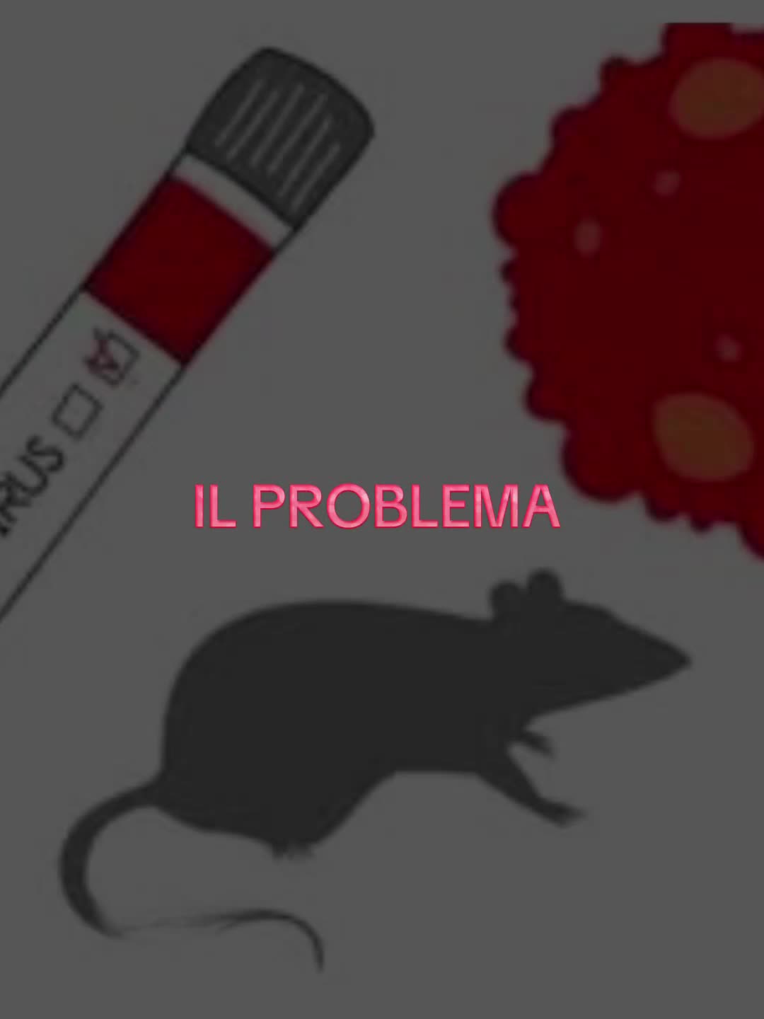 @Camelia