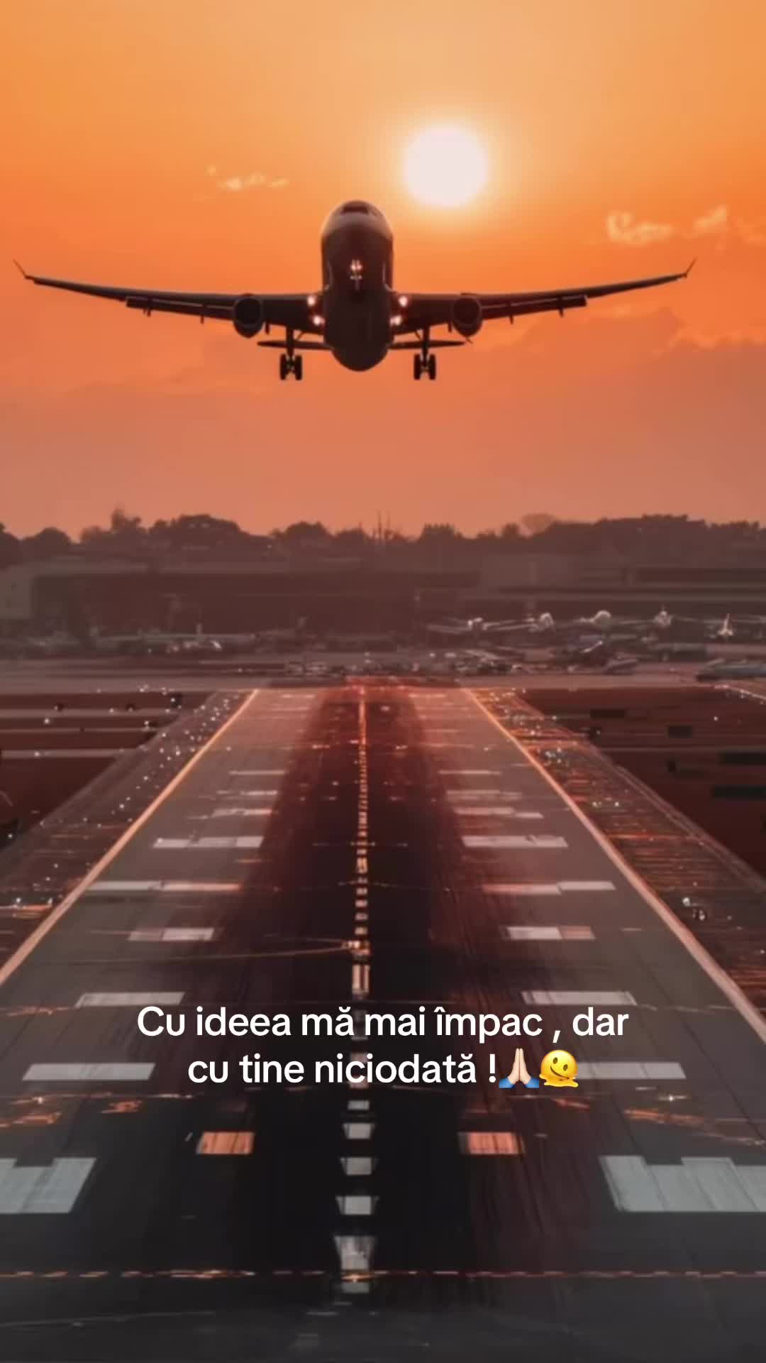 @✈️Diana