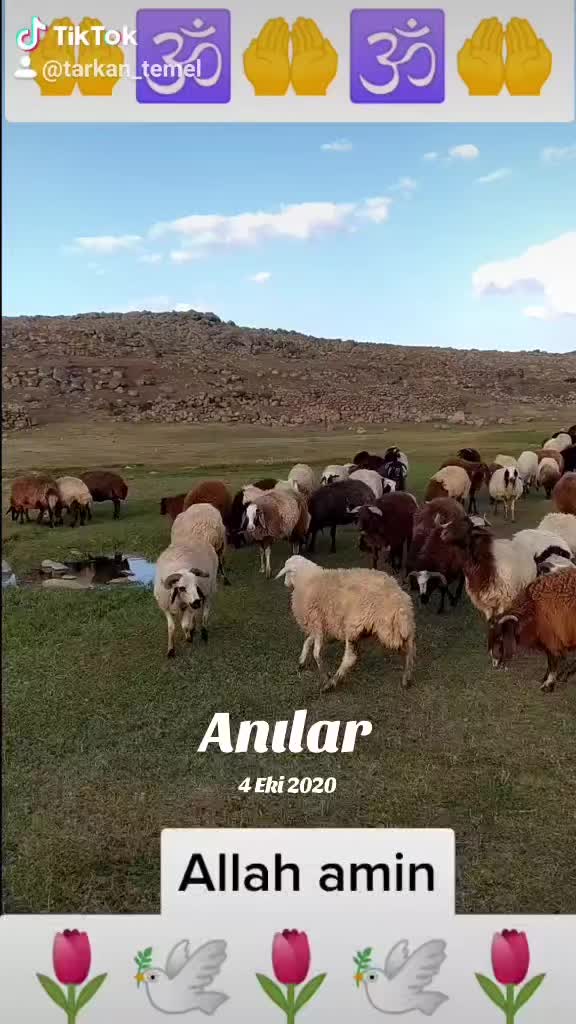 @🌹EZ🌹 BİRİNDAR 🌹