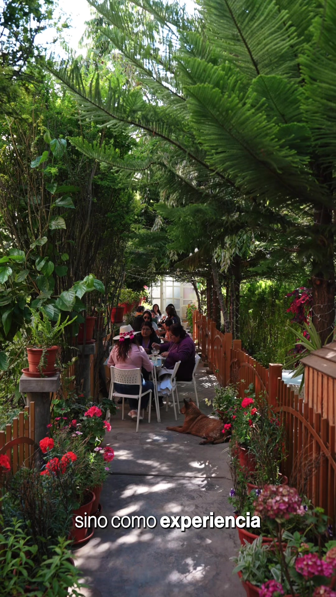 @Labrador Caff&eacute;