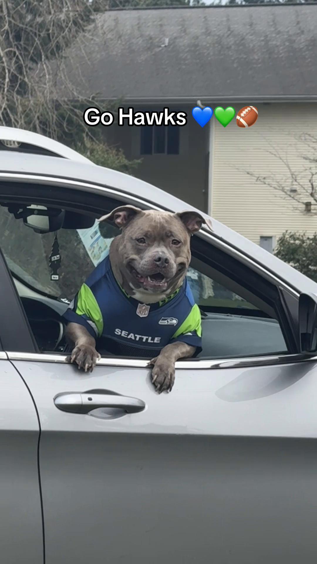 @IG: @lou.the.bully