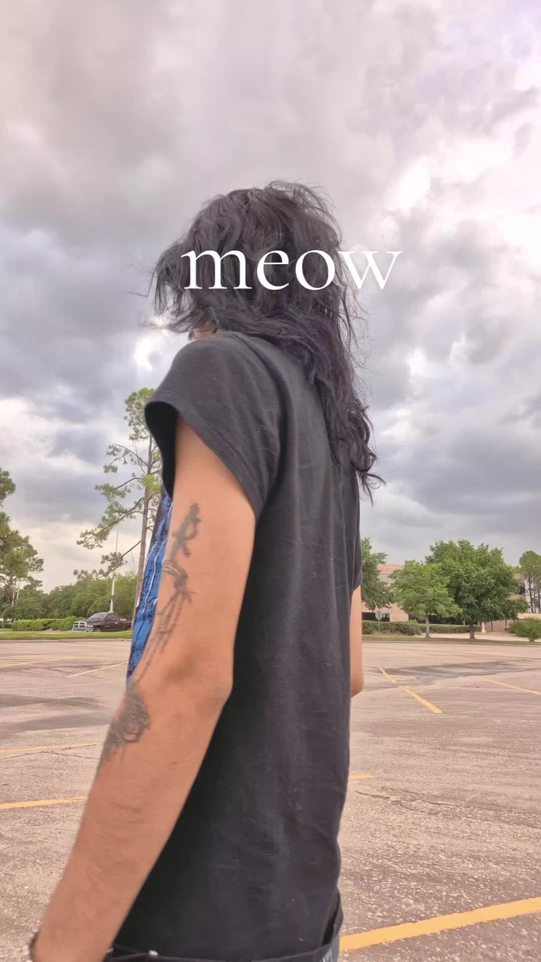 @meow
