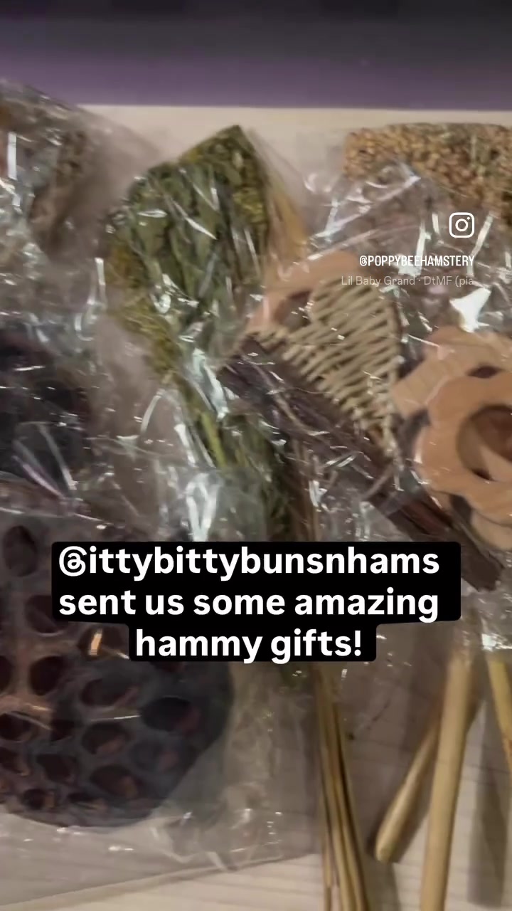@Poppy Bee Hamstery