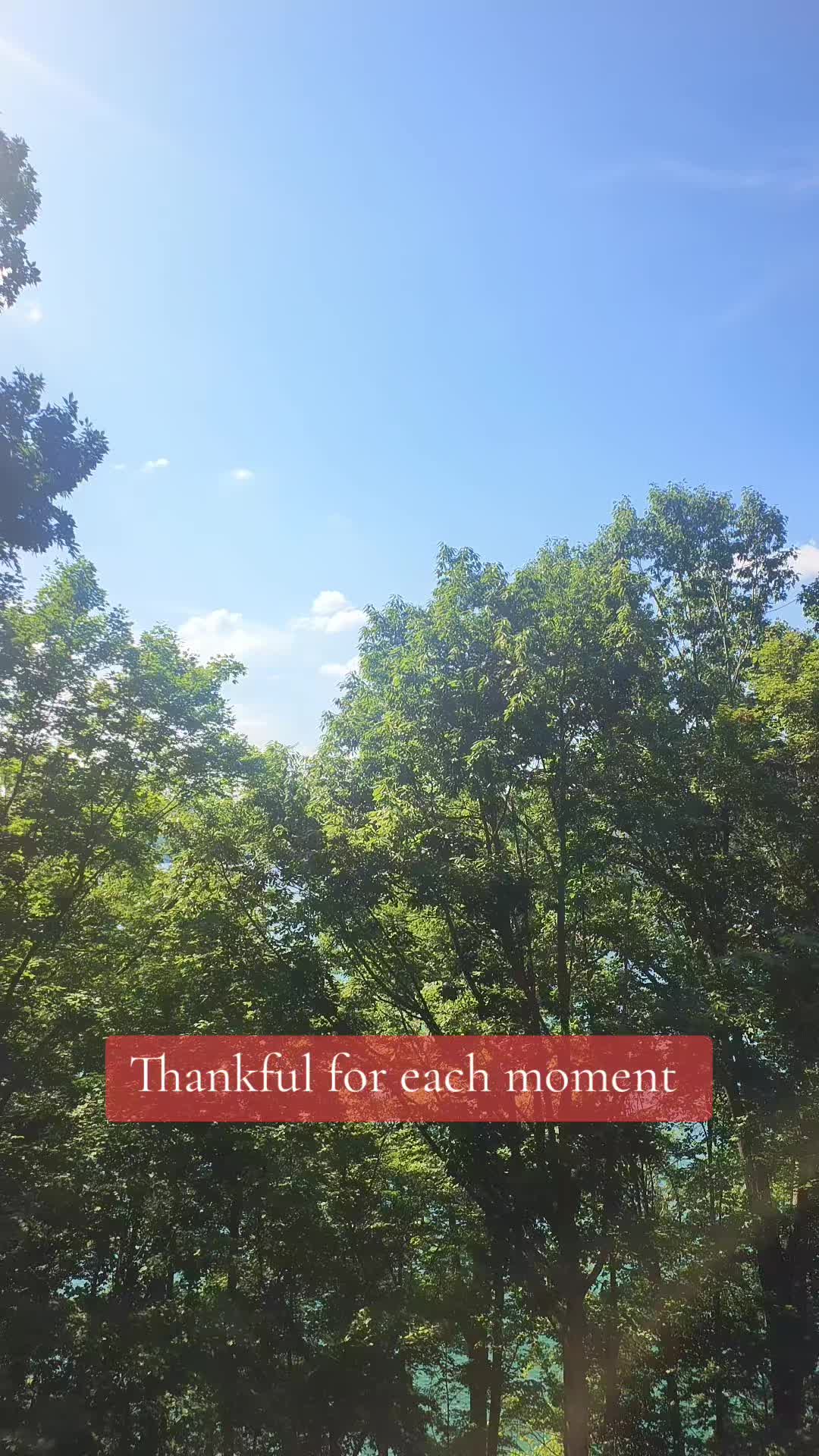 @AshleyChalet