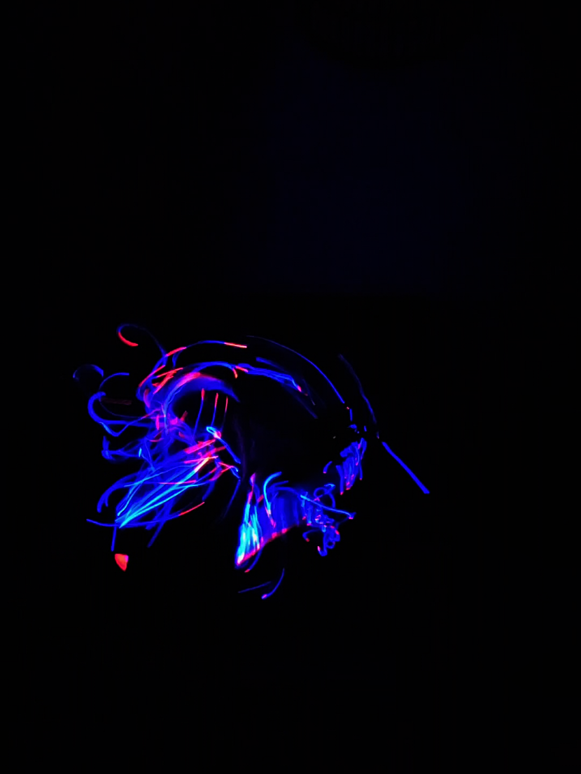 @EnigmaMystiqueNoir🖤🌌🌙🦋✨️