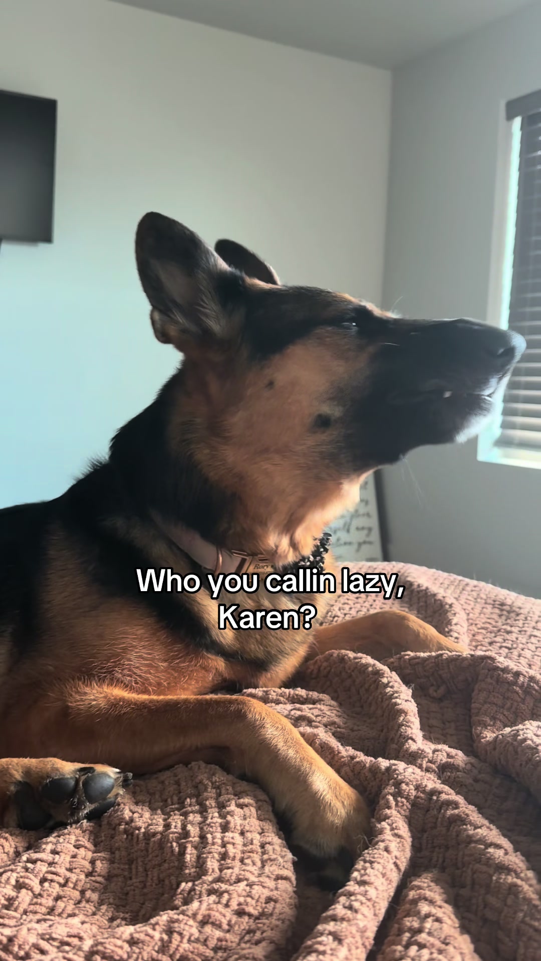 @Rory The Not-Working GSD