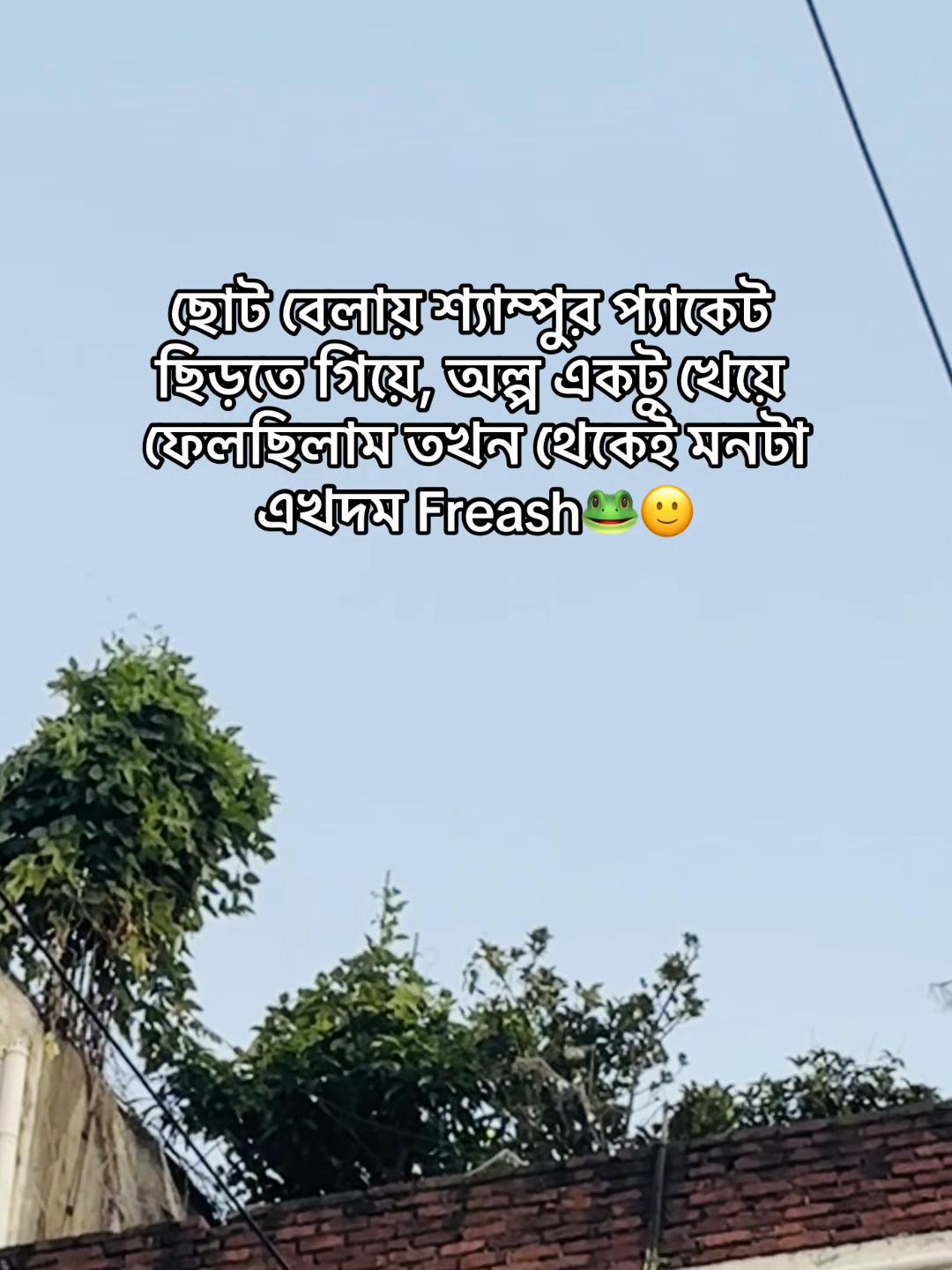 @টিক -টিকি